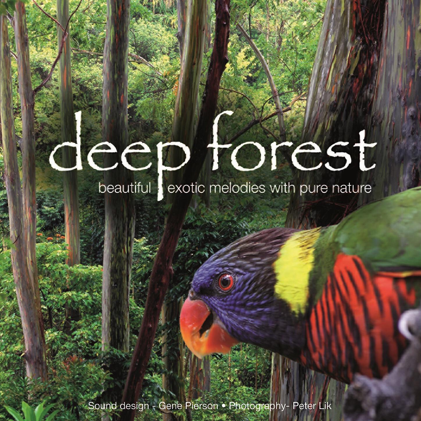 Deep forest слушать. Deep forest logo. Deep forest. Deep forest обложка. Deep forest.