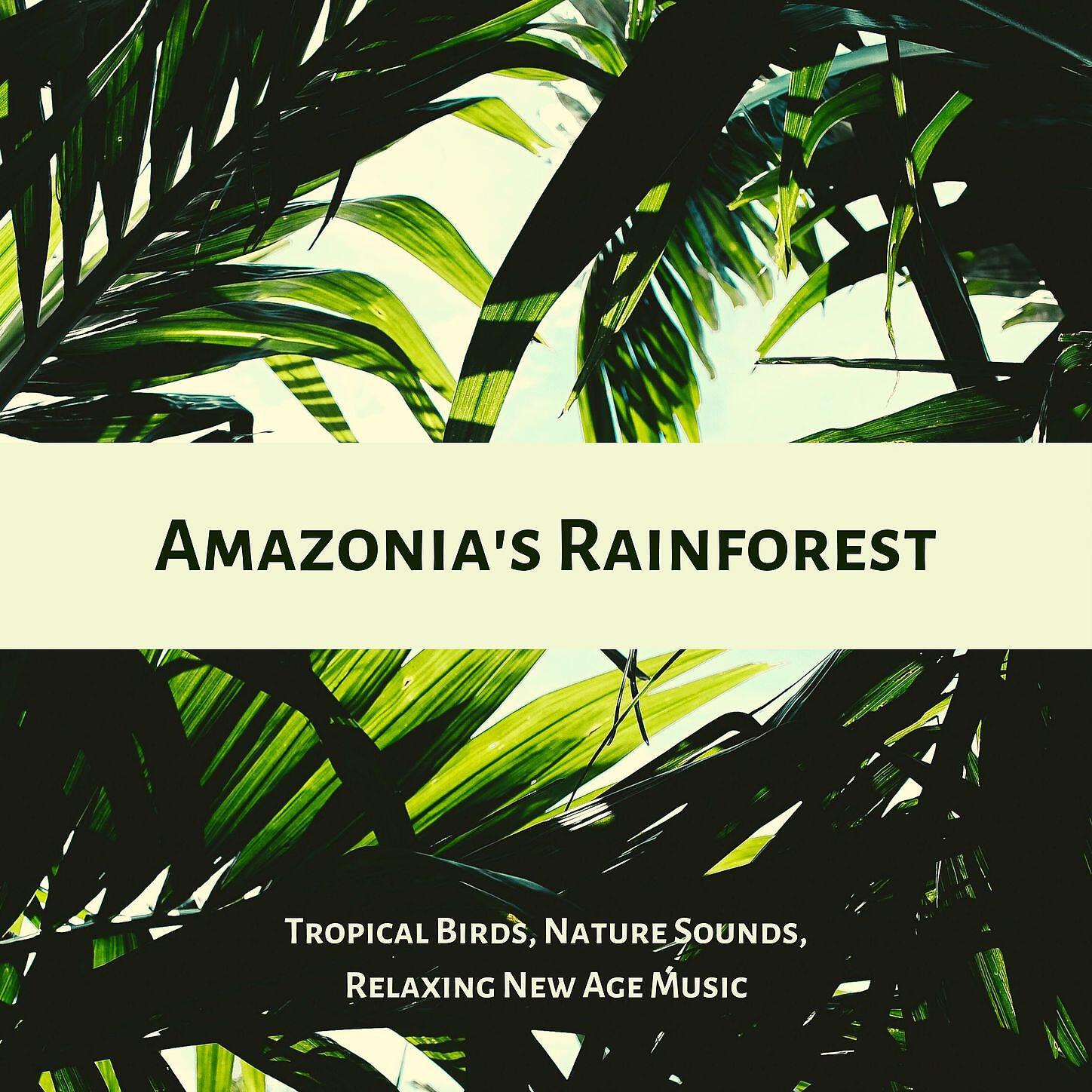 Autogenic Training Music Rec., Sleep Music with Nature Sounds Relaxation - Good Atmosphere