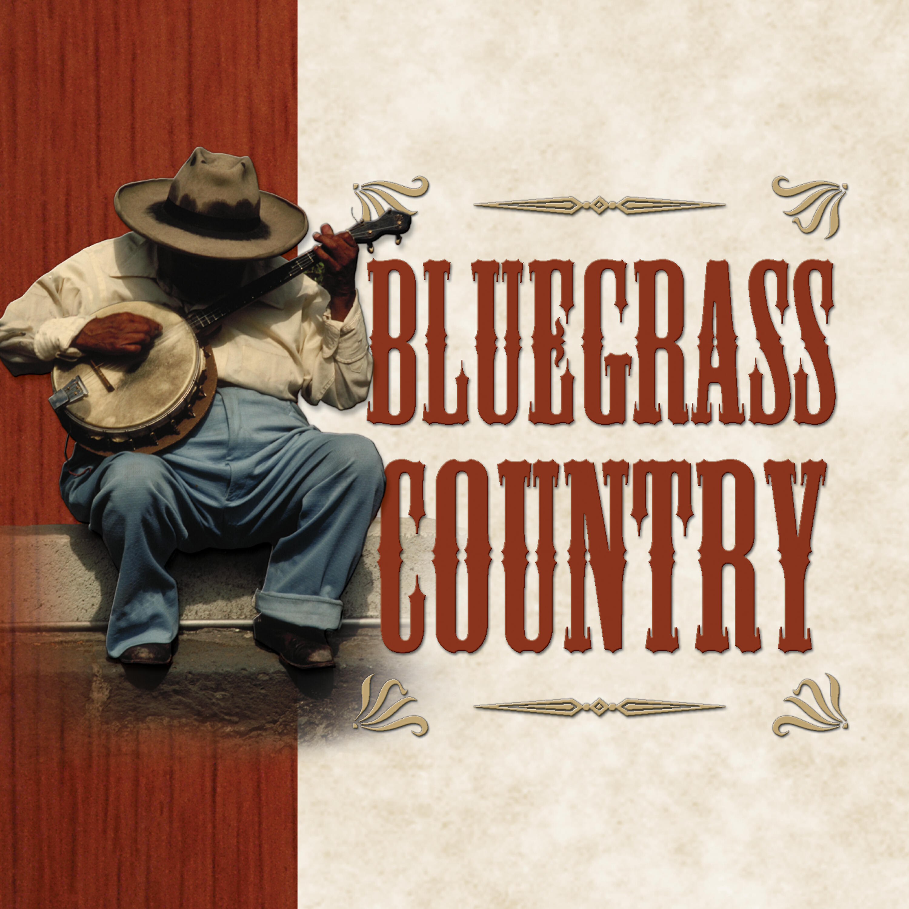 VARIOUS ARTISTS - Bluegrass Connection