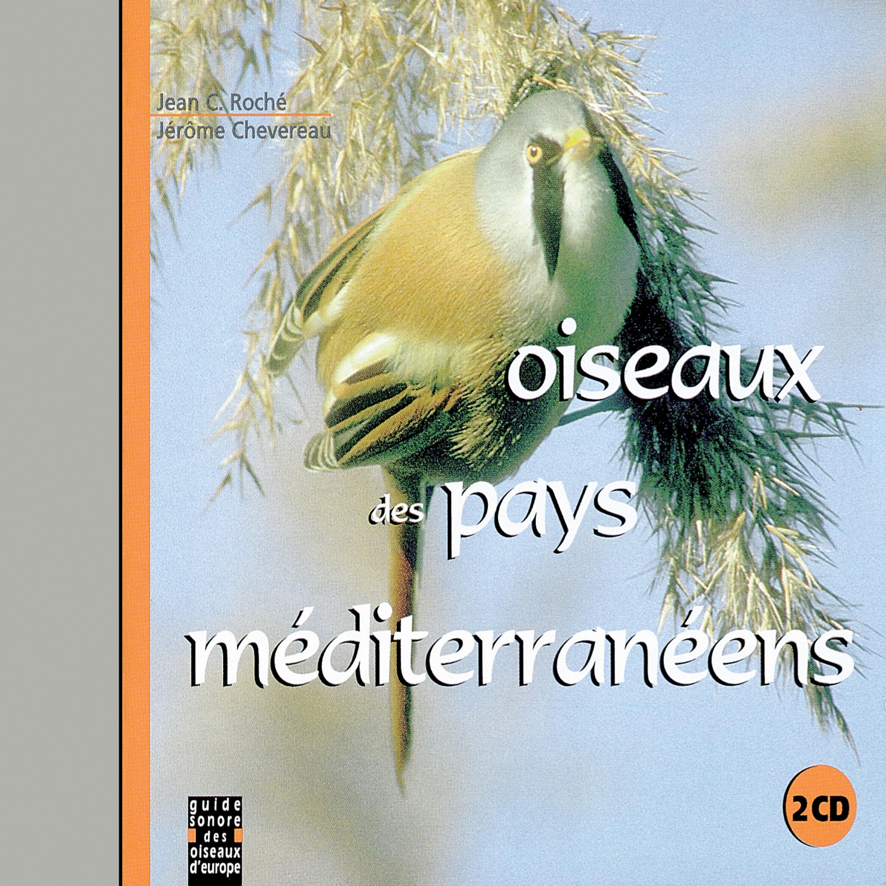 Постер альбома Oiseaux Des Pays Méditerranéens