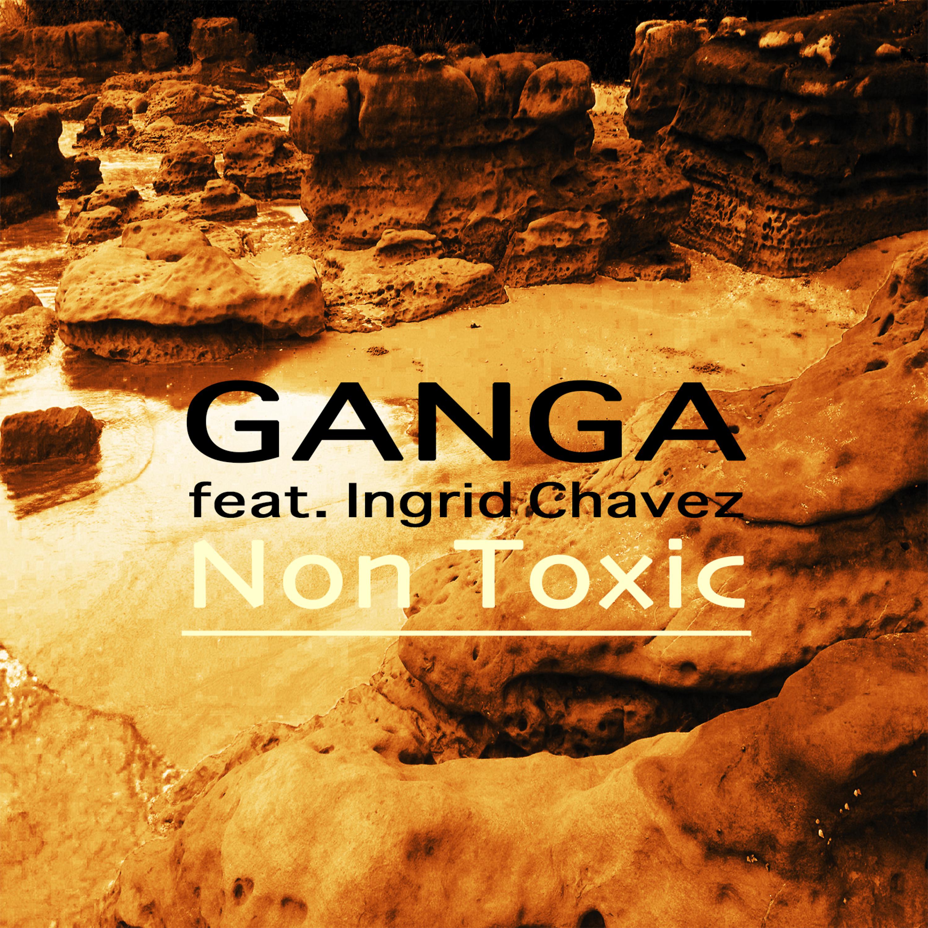 Постер альбома Non Toxic (feat. Ingrid Chavez)