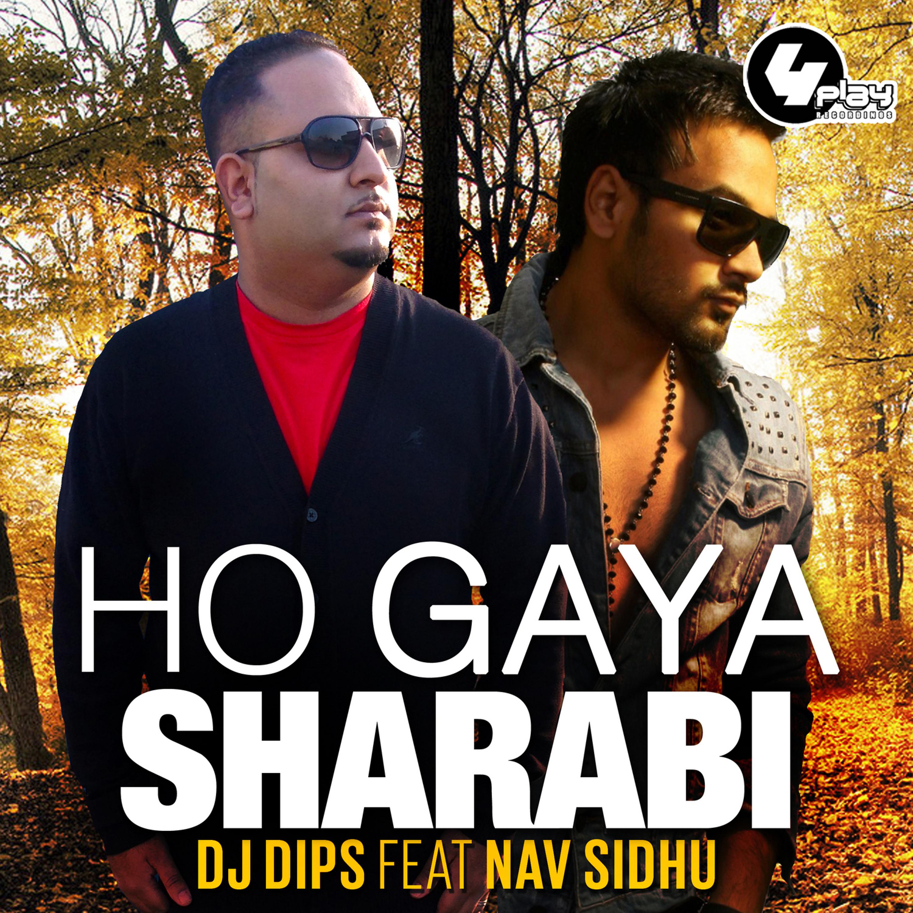 Постер альбома Ho Gaya Sharabi