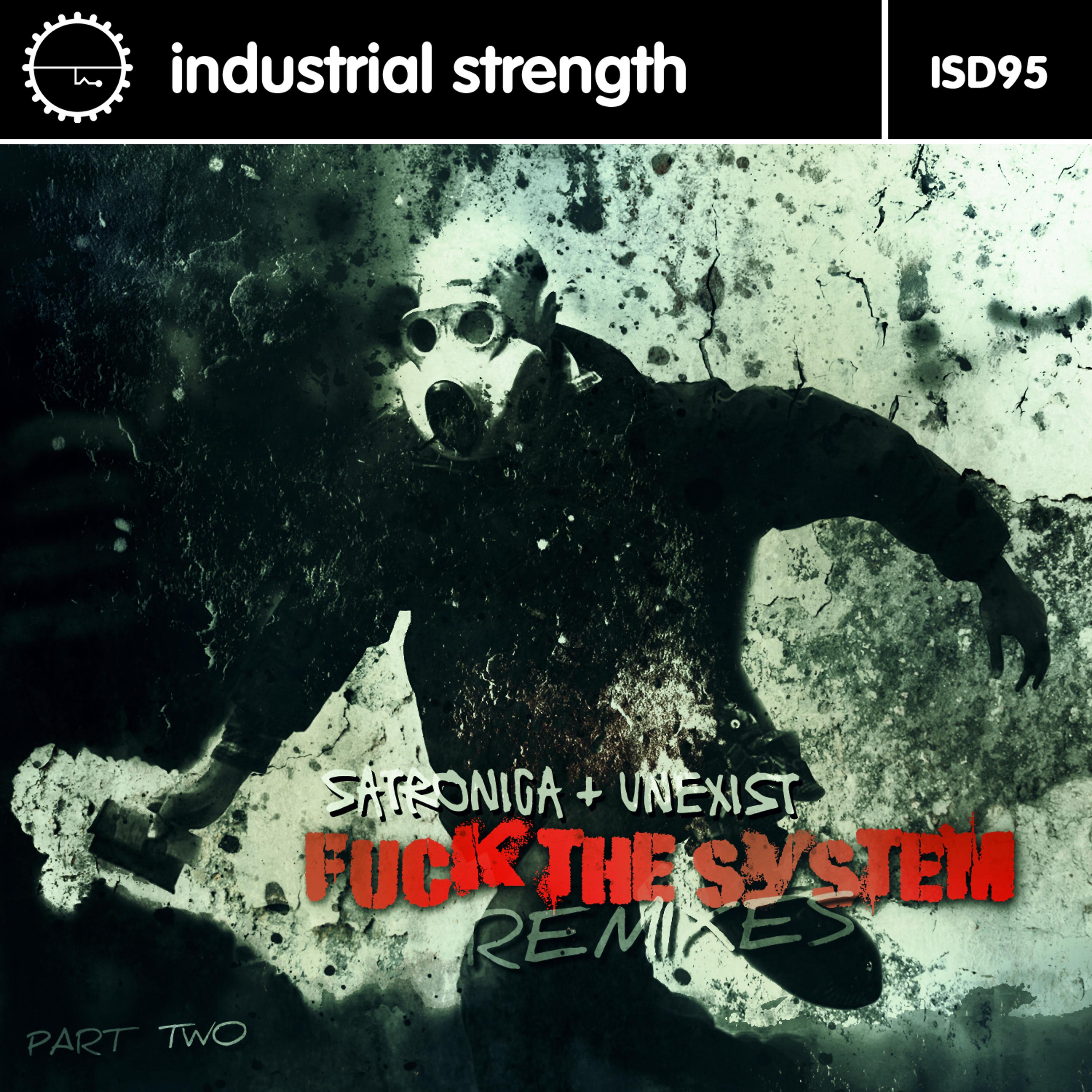 Постер альбома Fuck the System Remixes, Pt. 2