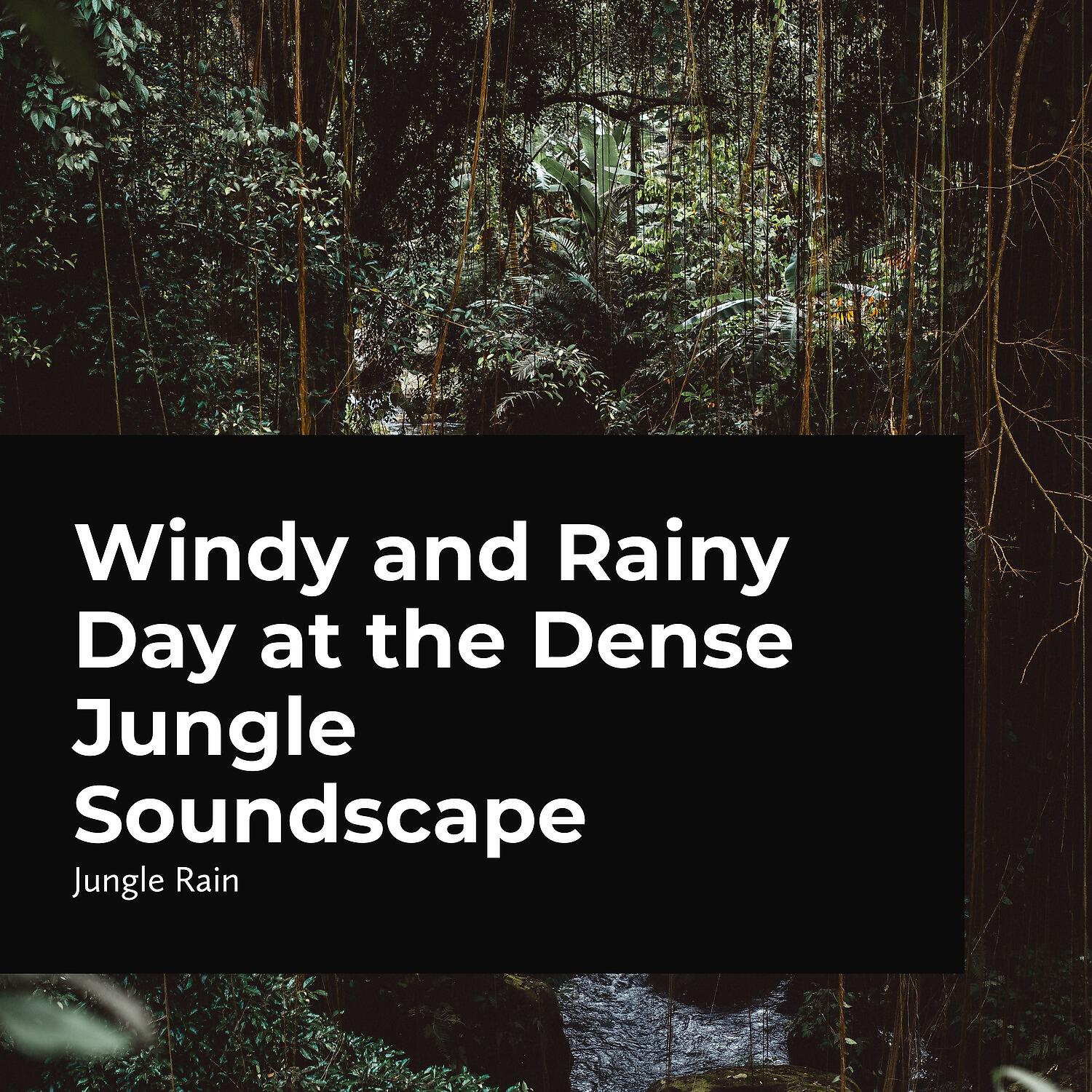 Jungle Rain - Rain Forest Storm