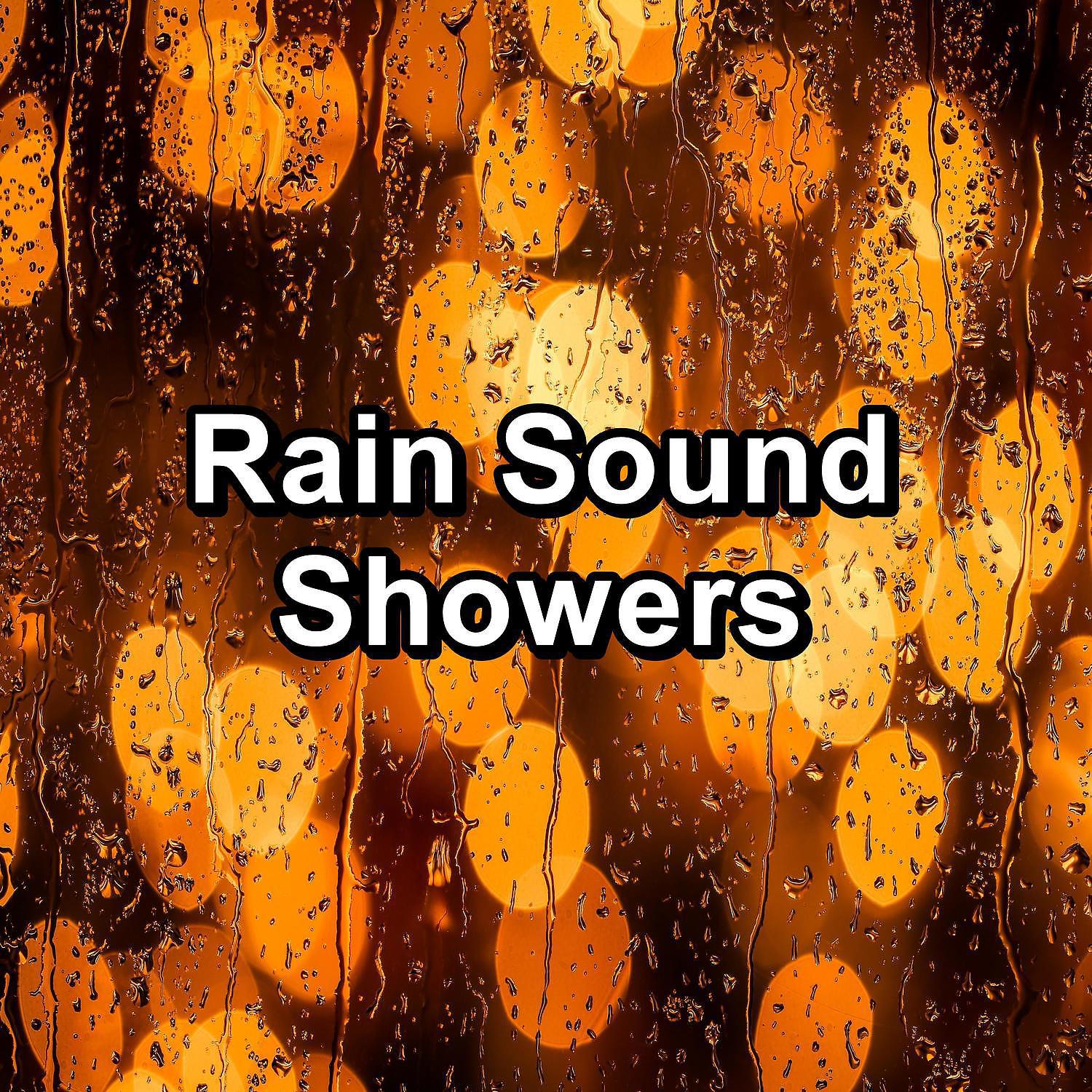 Постер альбома Rain Sound Showers