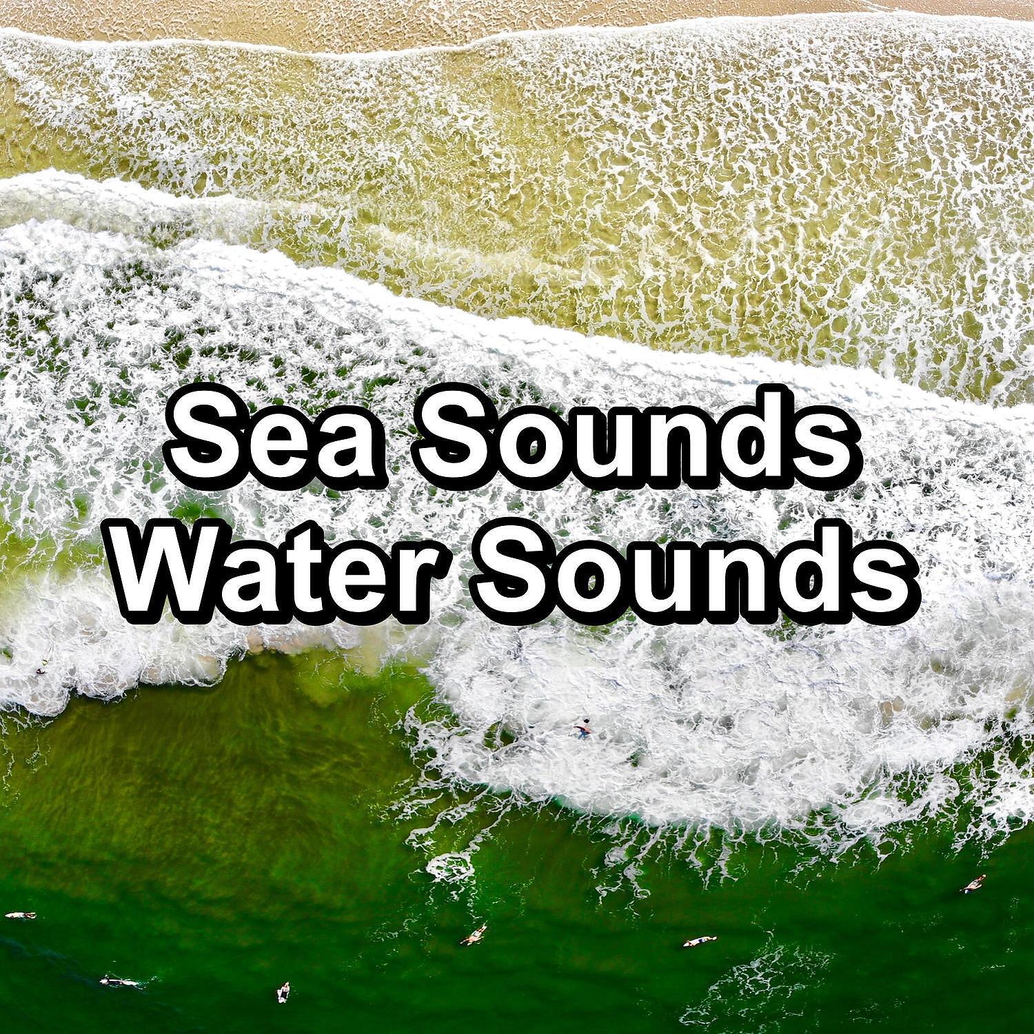 Ocean Sounds Collection - Soothing Wave Sounds Keep Calm with Nature Sounds Ambience Sounds