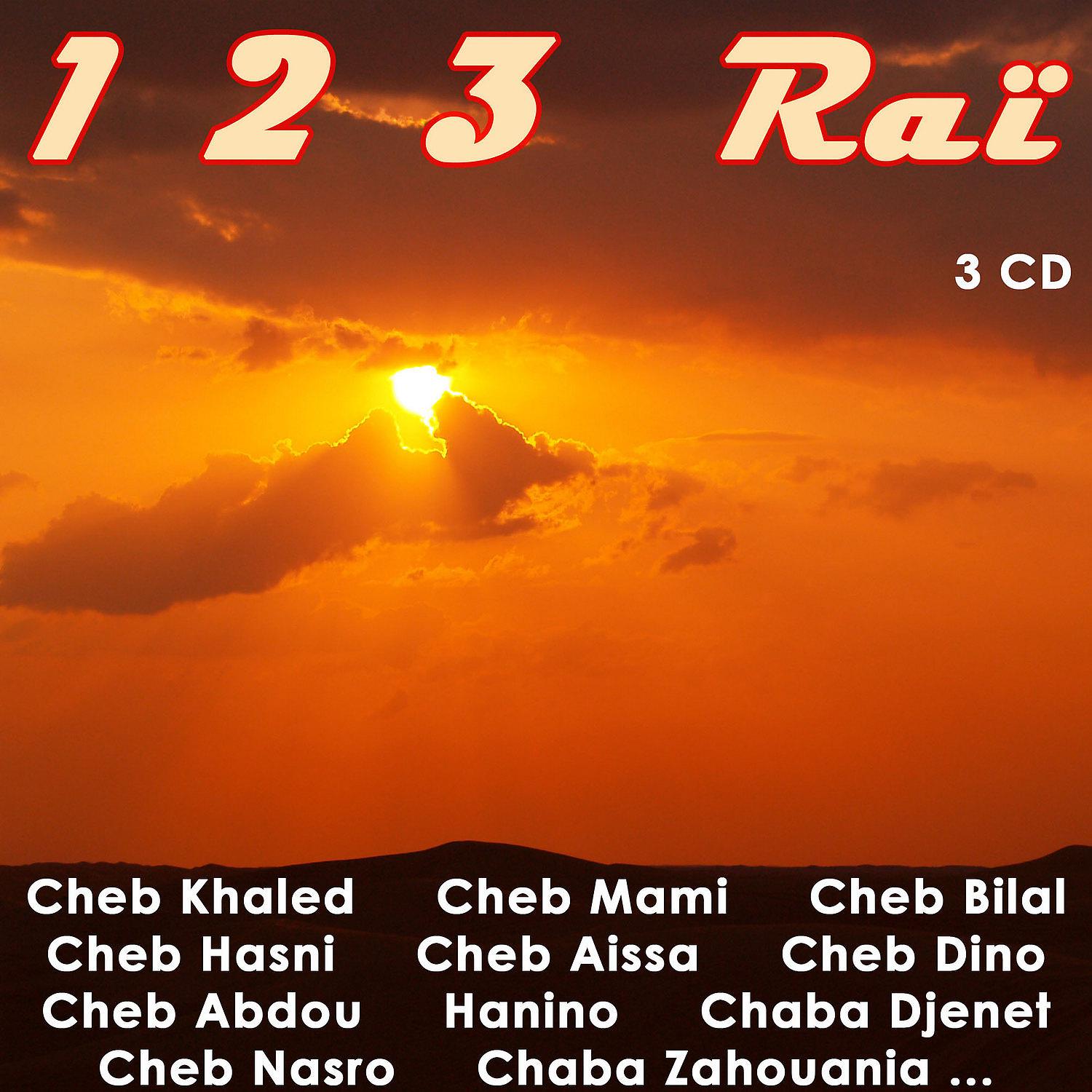 Постер альбома 123 Raï, Vol 2 of 3