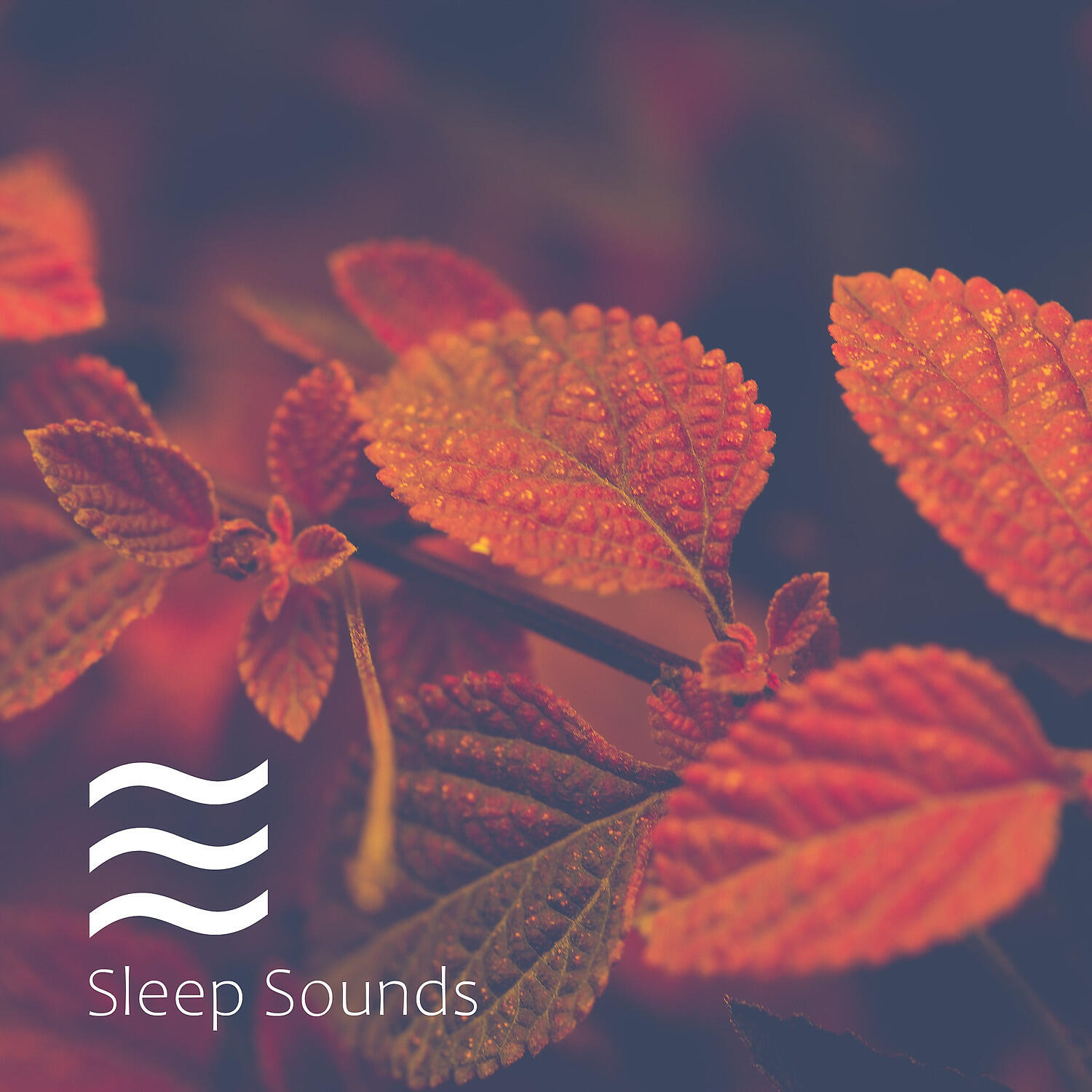 Calming Brown Soughs for Babies - Brown Unruffled Sleep Baby Sough