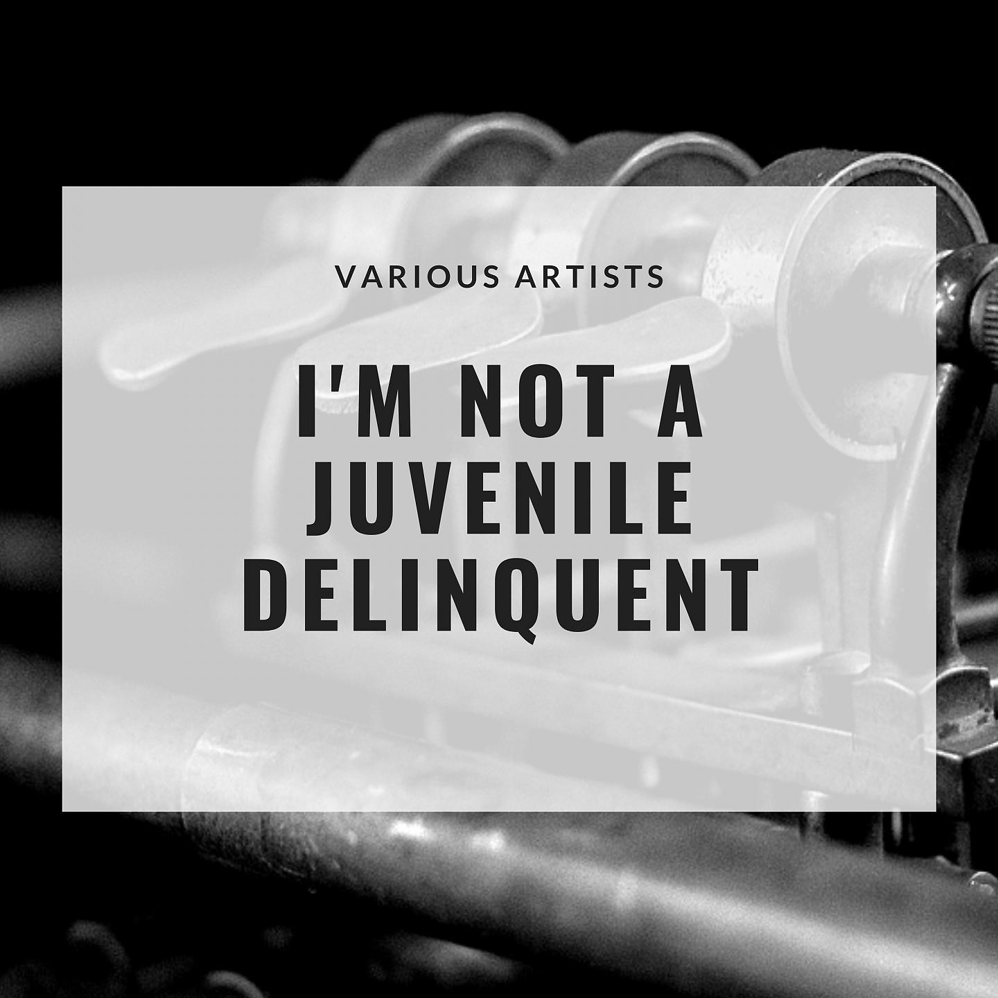Постер альбома I'm Not a Juvenile Delinquent