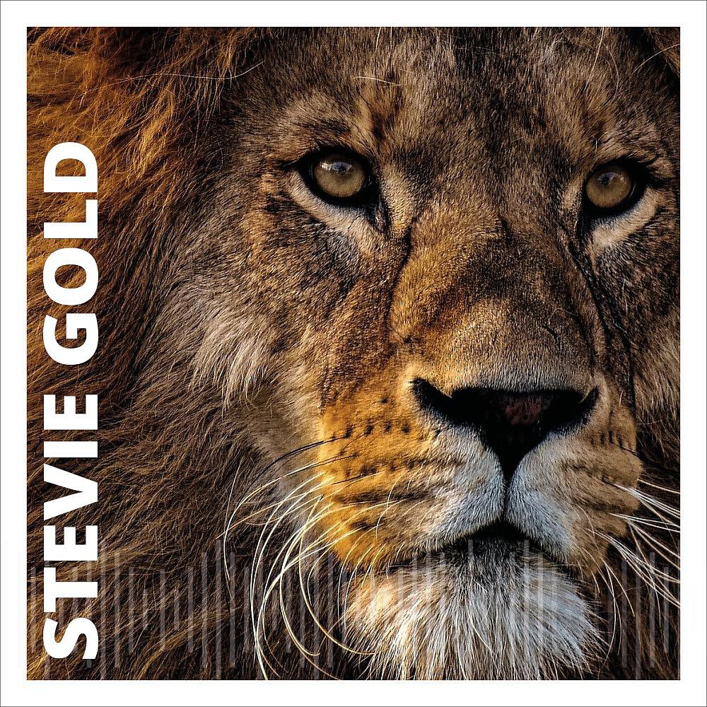 Stevie Gold - Discovery of Magnificence