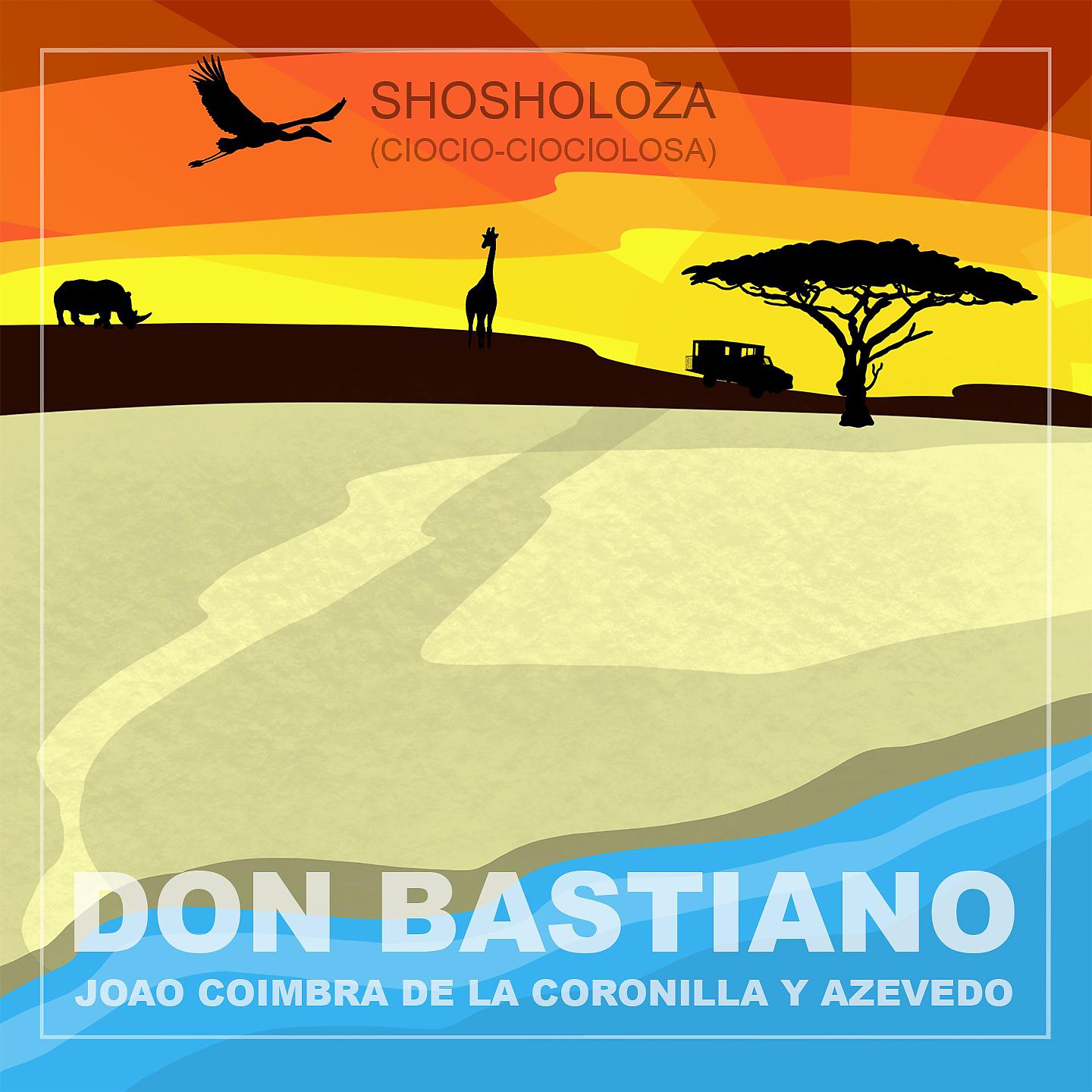 Постер альбома Shosholoza