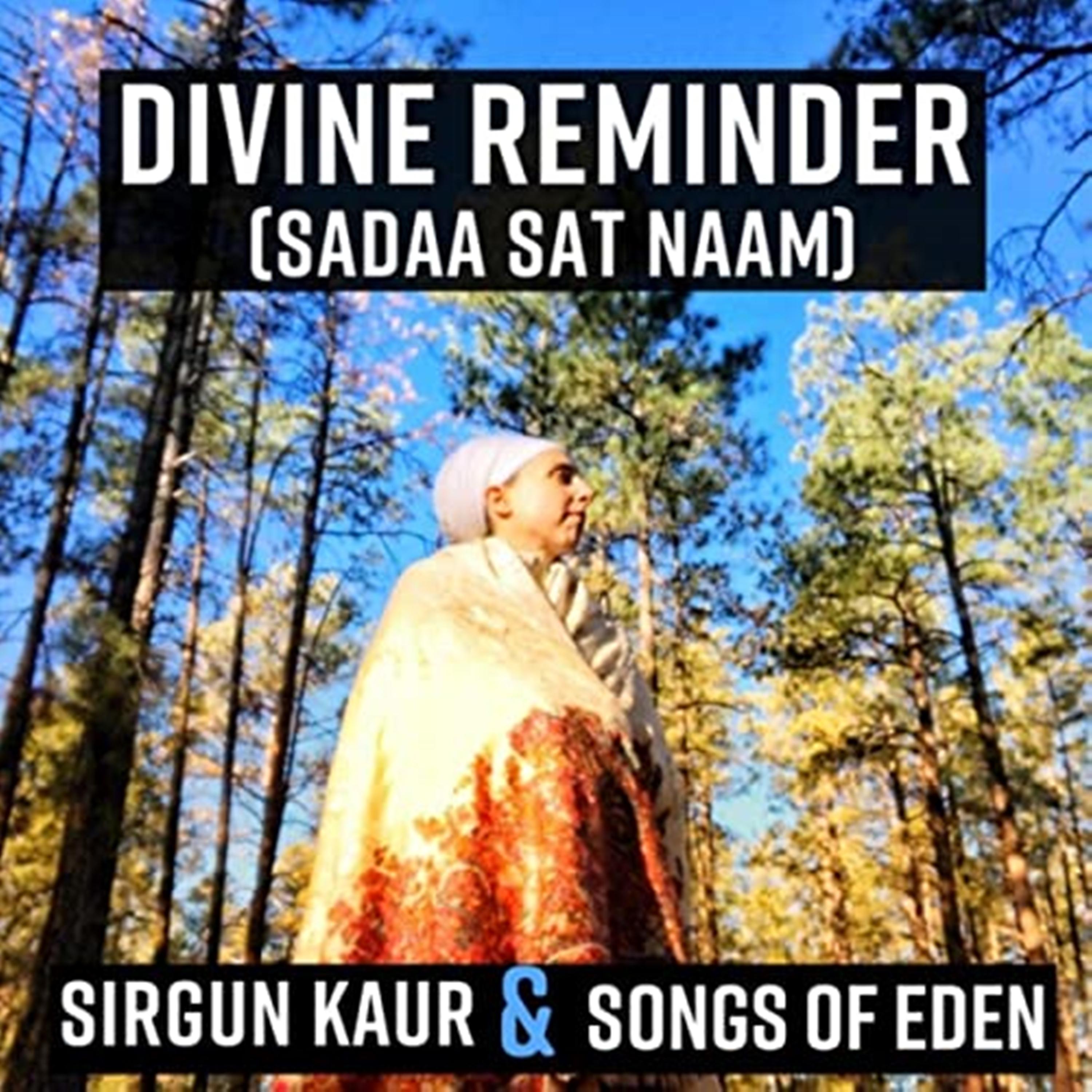 Постер альбома Divine Reminder (Sadaa Sat Naam)