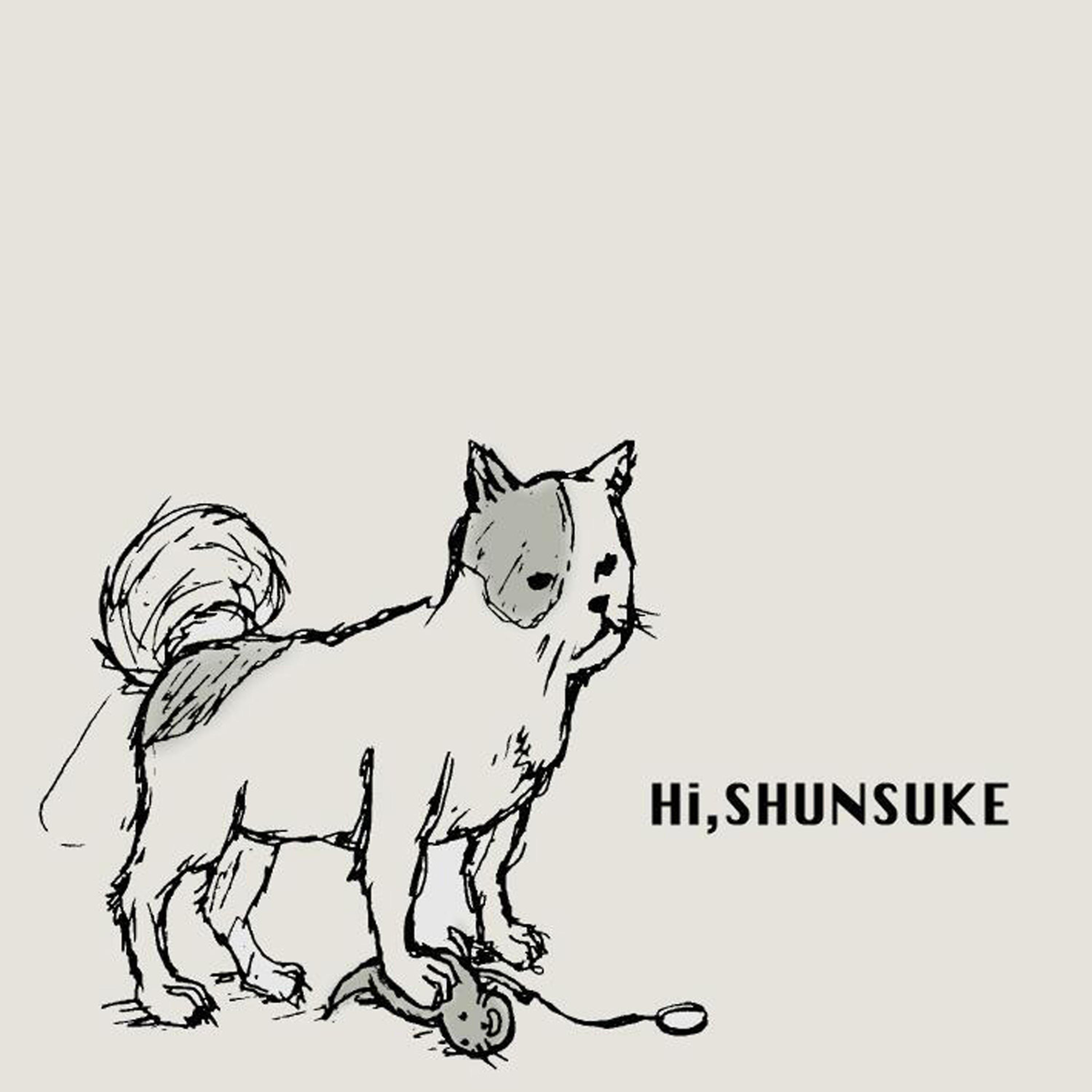 Постер альбома hi,shunsuke