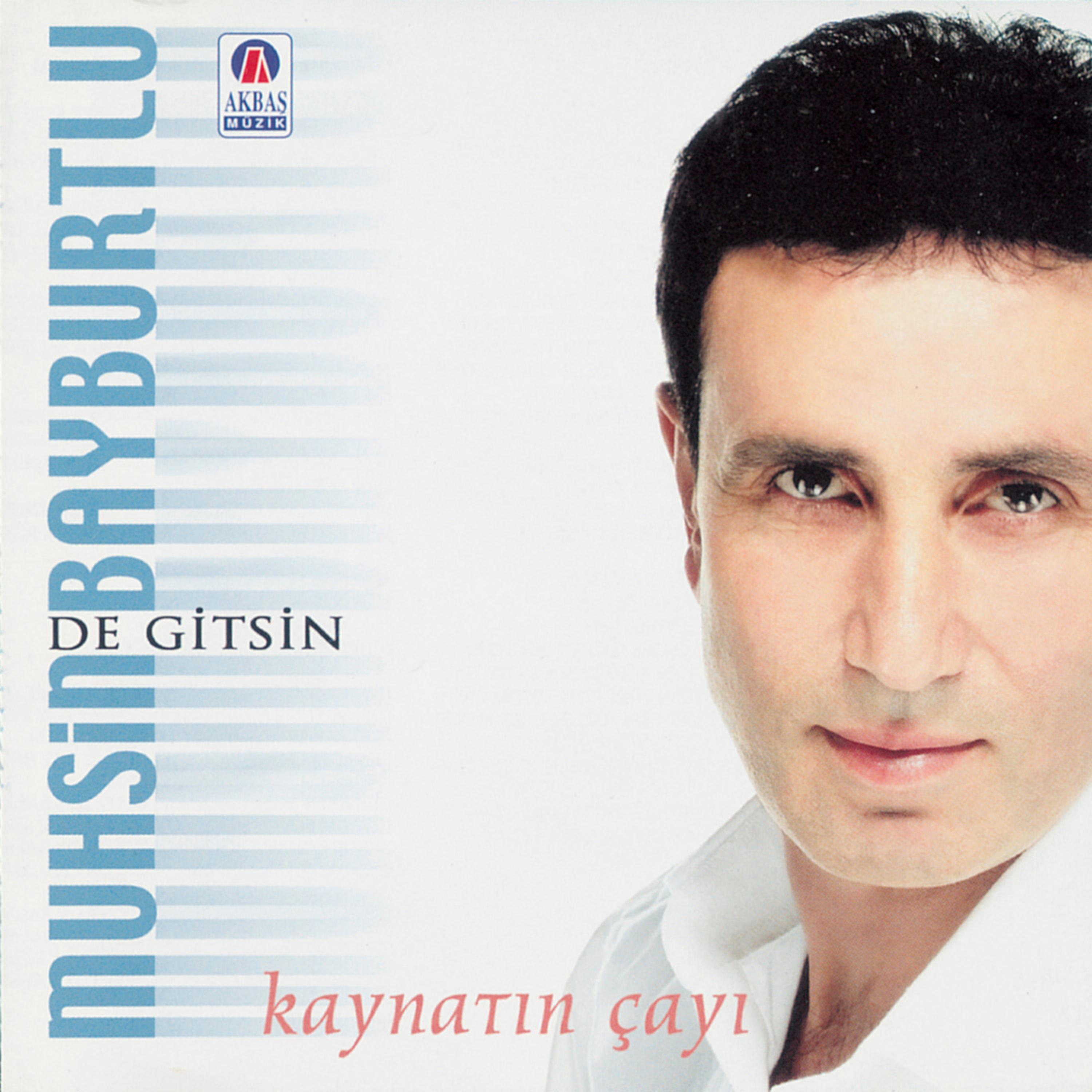 Постер альбома Kaynatın Çayı - De Gitsin