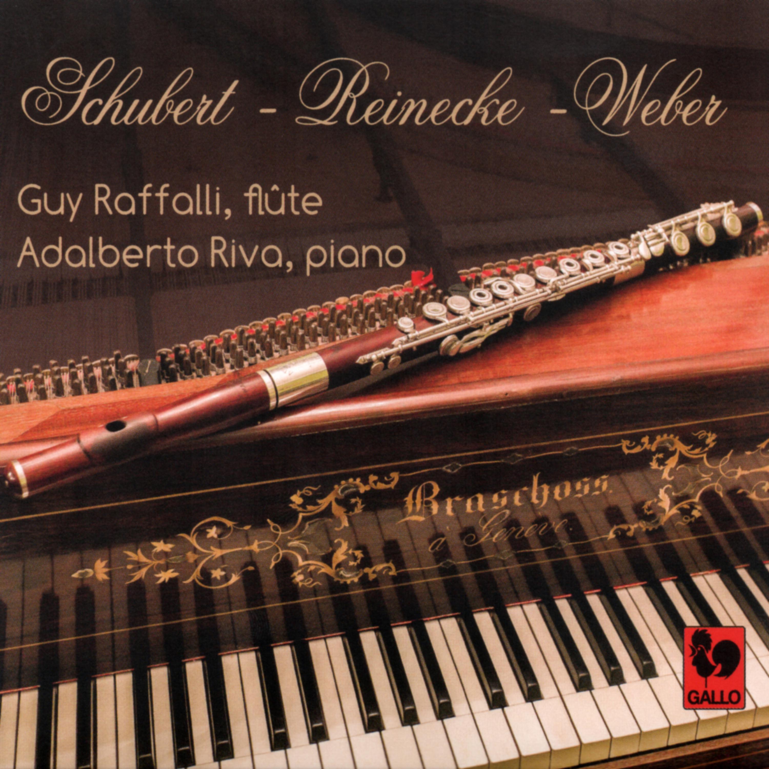 Постер альбома Franz Schubert - Carl Reinecke - Carl Maria von Weber: Works for Flute and Piano on Period Instruments