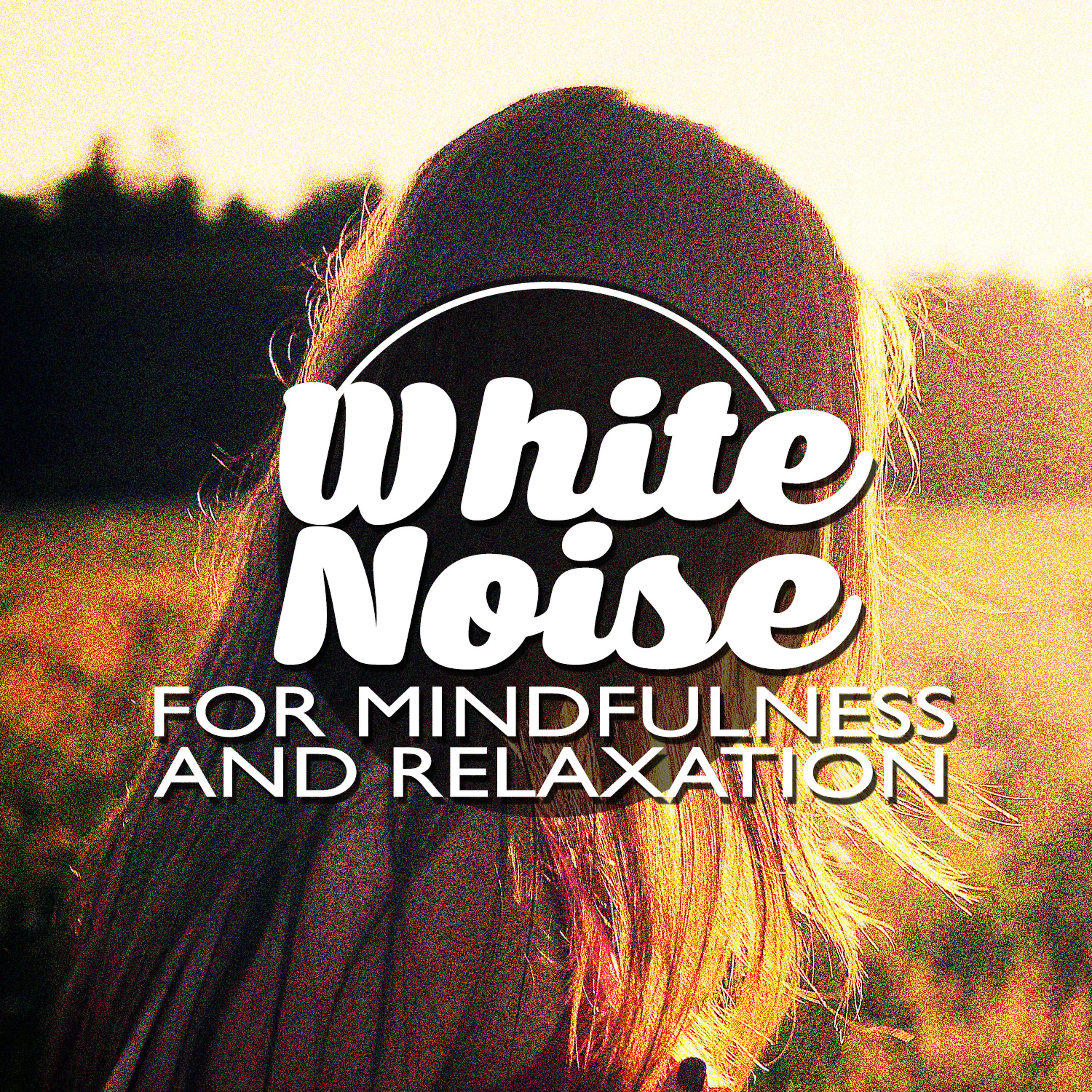 Постер альбома White Noise for Mindfulness and Relaxation