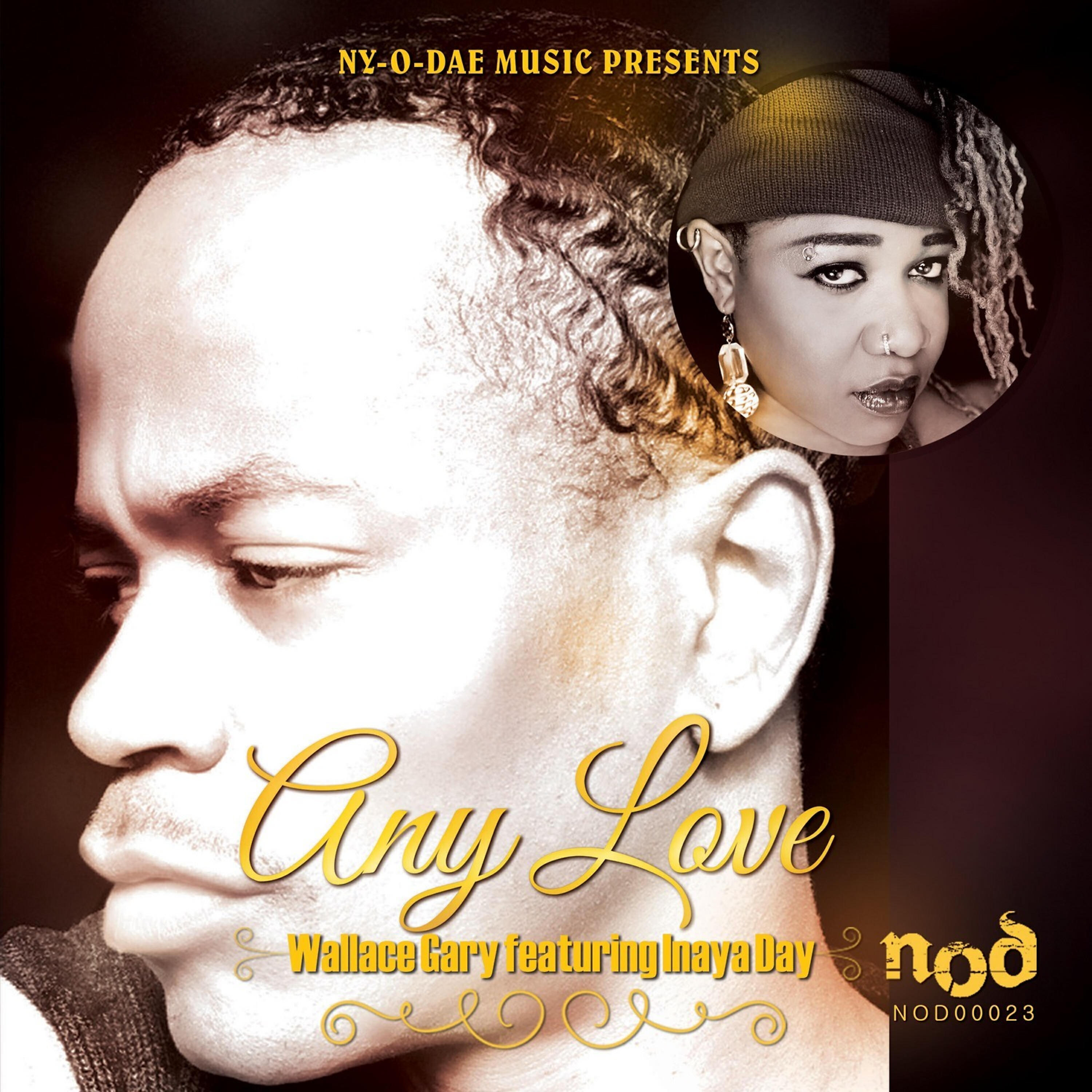 Inaya Day - Any Love (Joe Gauthreaux Mix)