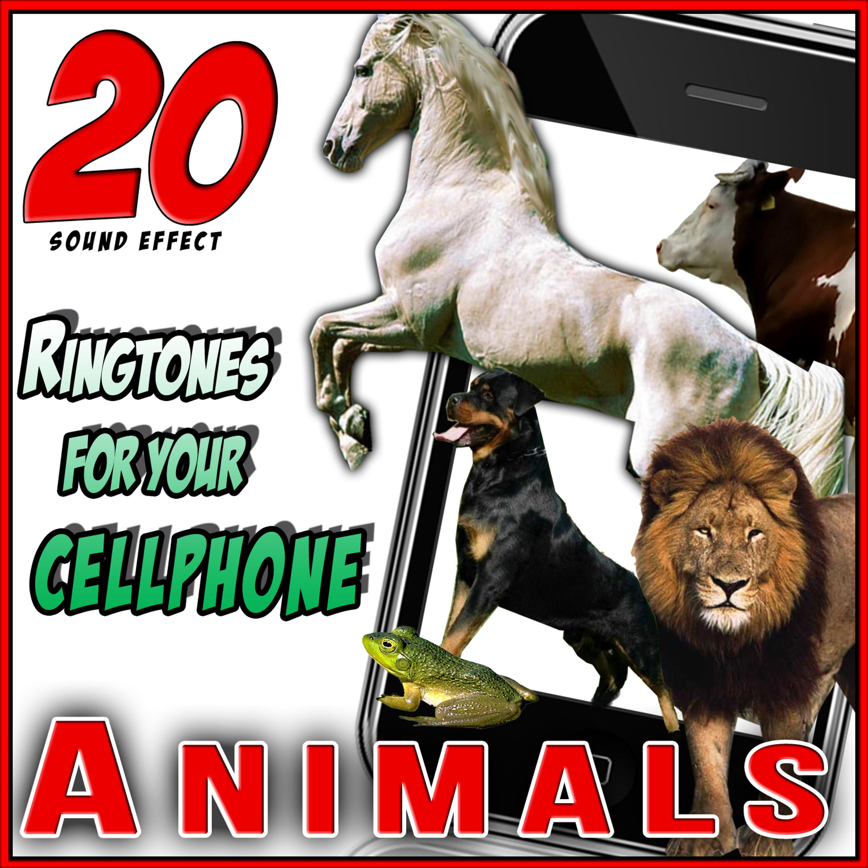 Постер альбома Animals. 20 Sound Effects. Ringtones for Your Cellphone