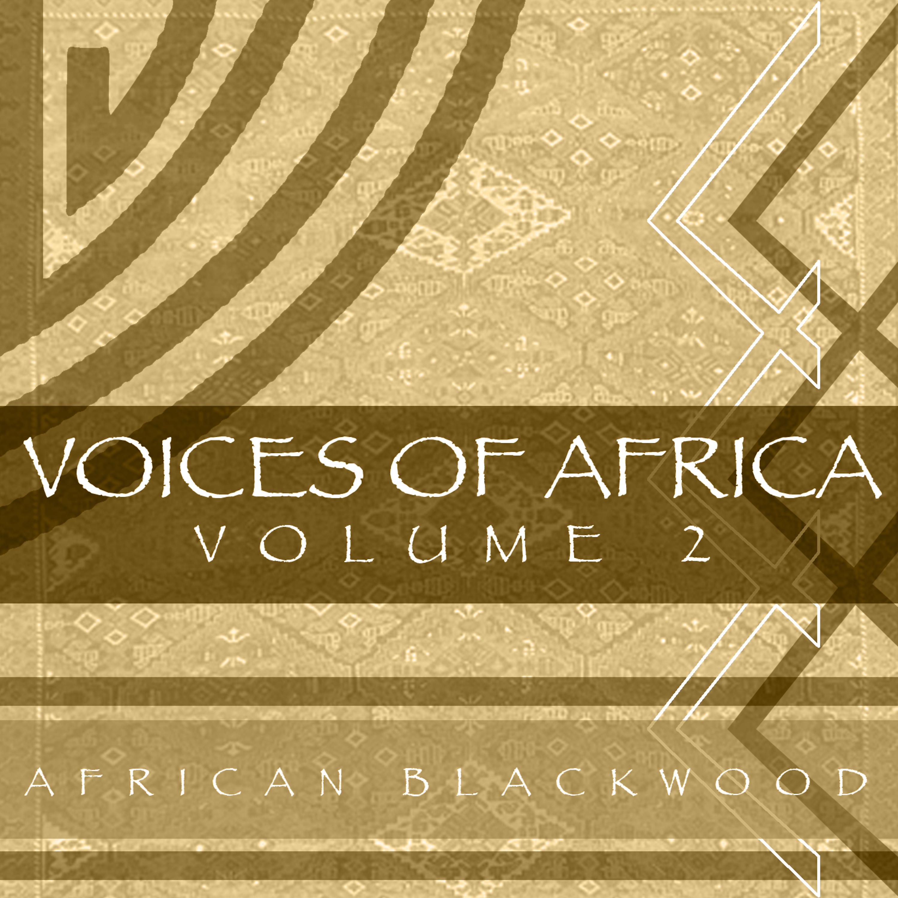 Постер альбома Voices Of Africa - Vol 2