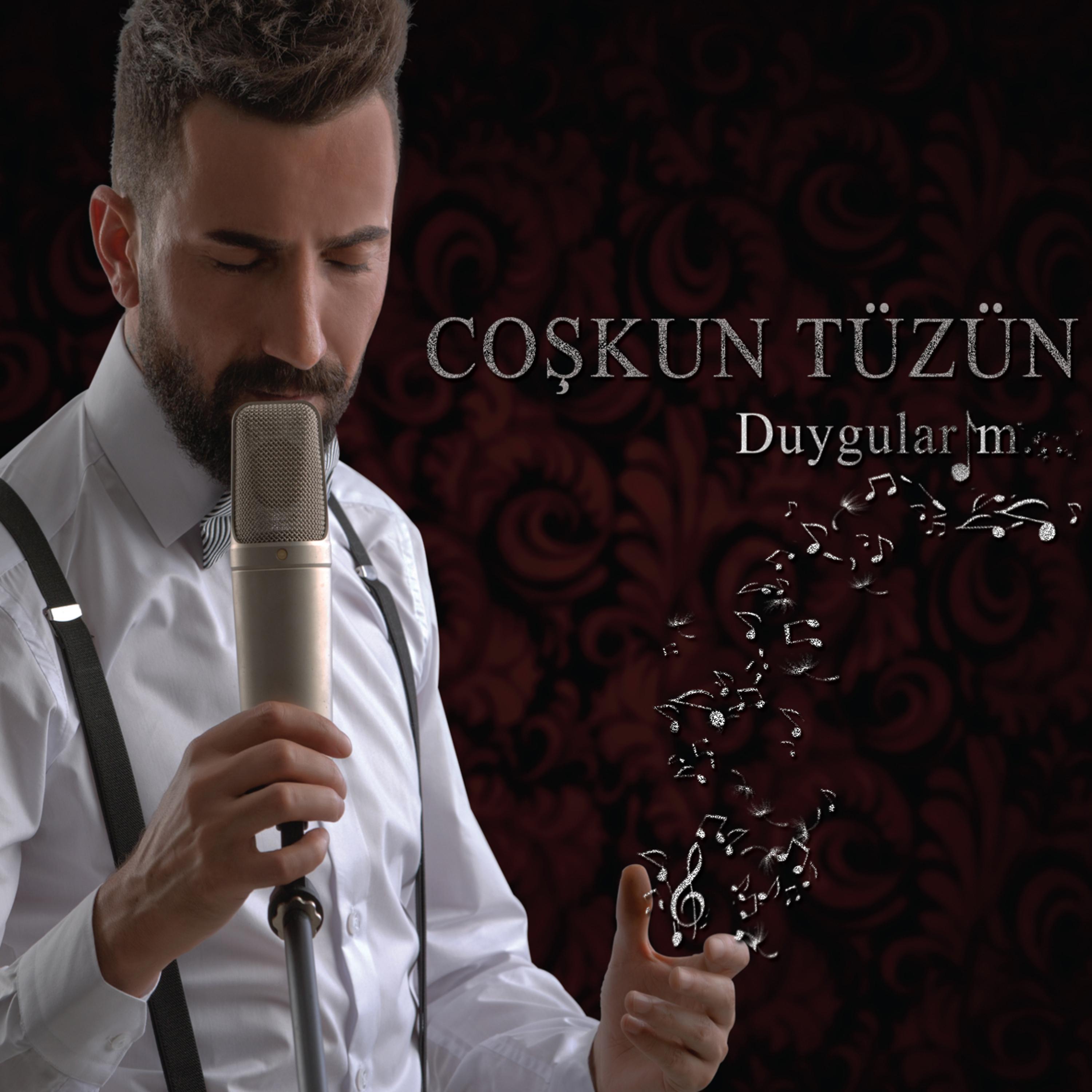 Постер альбома Duygularım