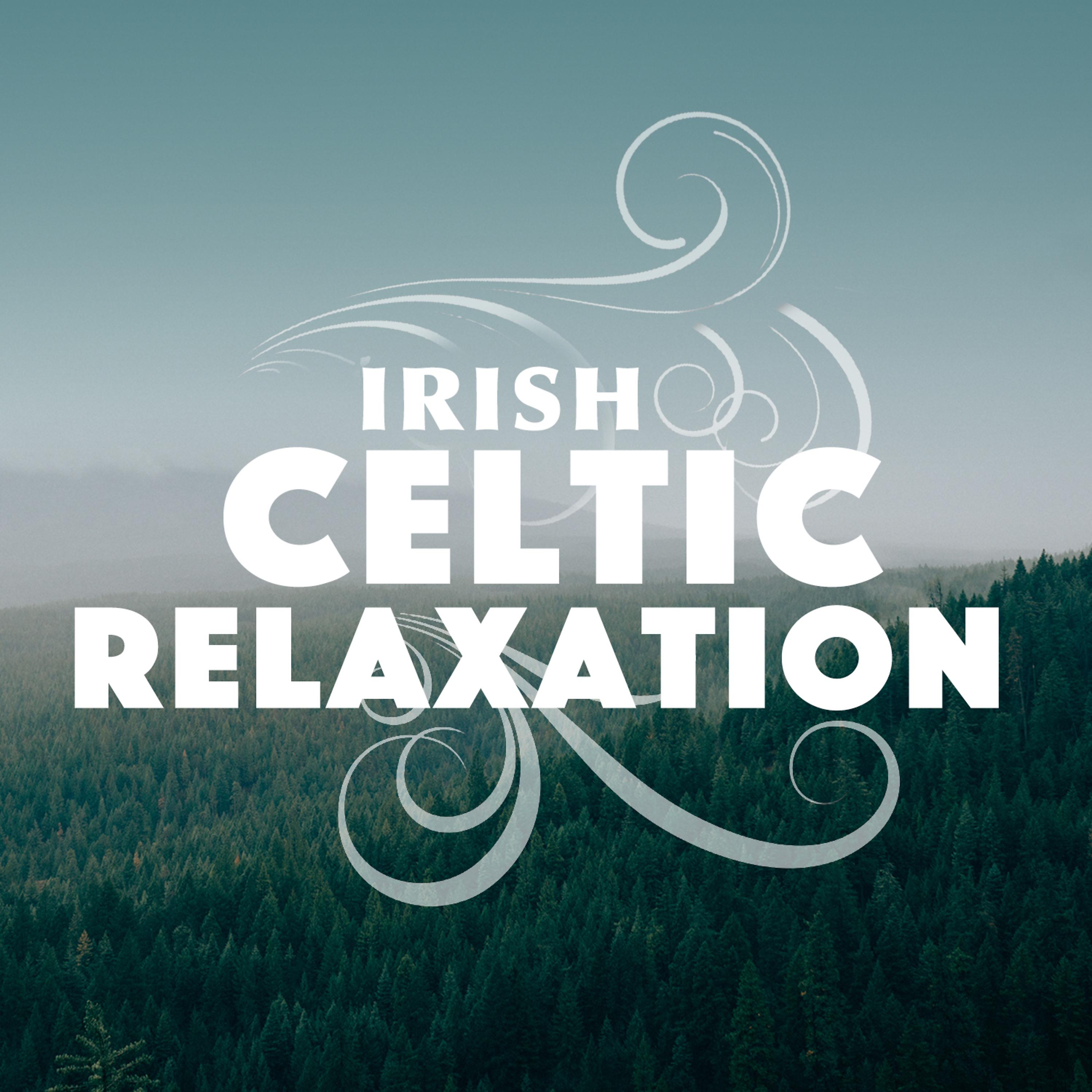 Постер альбома Irish Celtic Relaxation