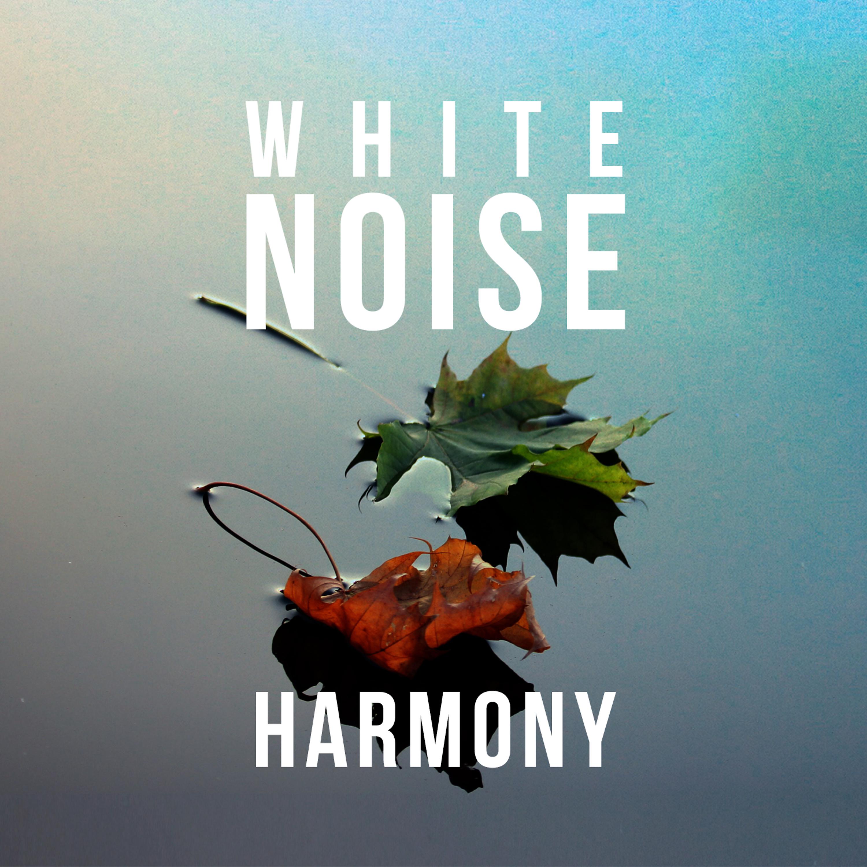 Постер альбома White Noise: Harmony