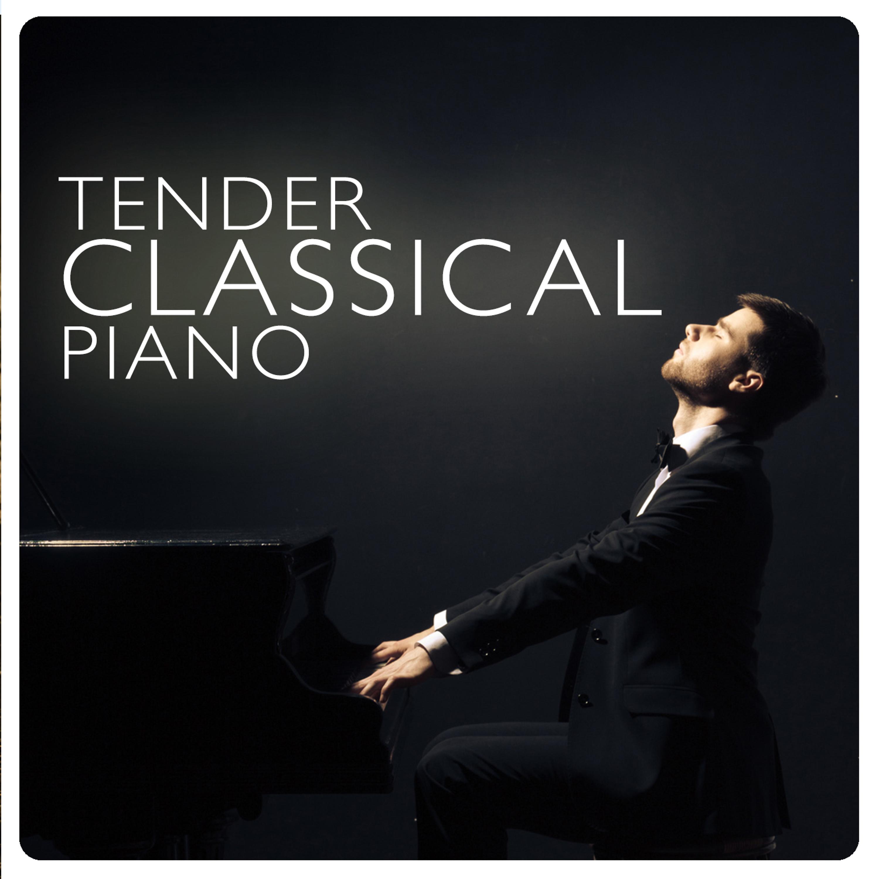 Постер альбома Tender Classical Piano