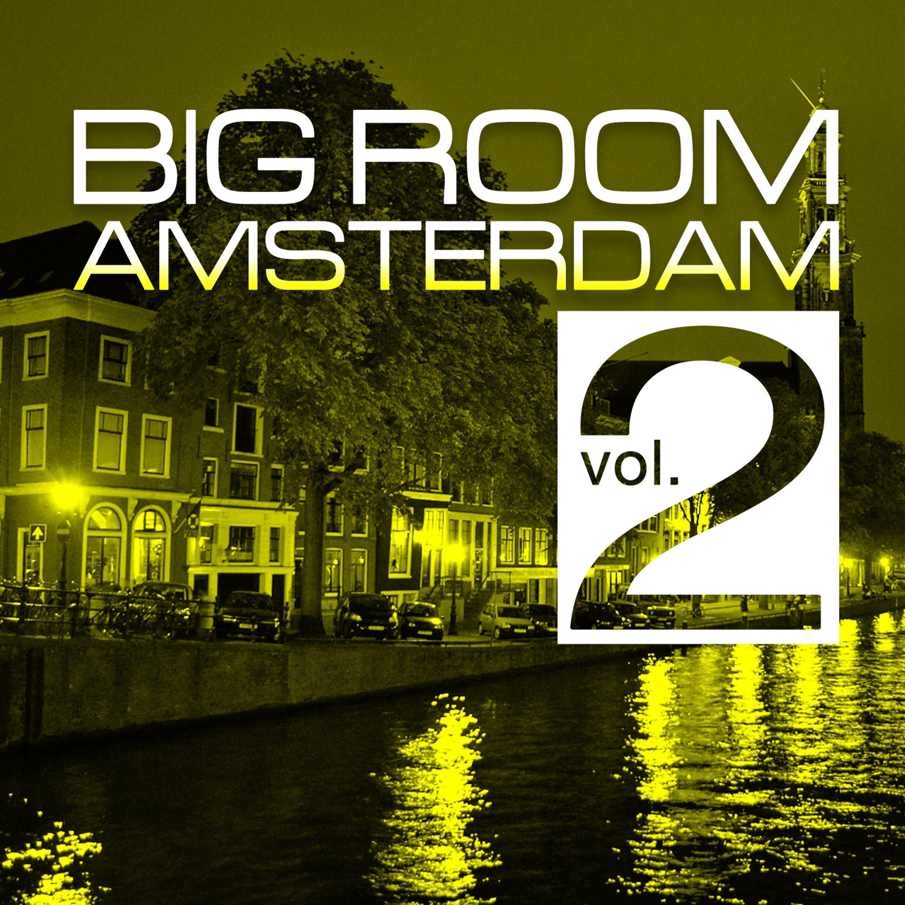 Постер альбома Big Room Amsterdam, Vol. 2