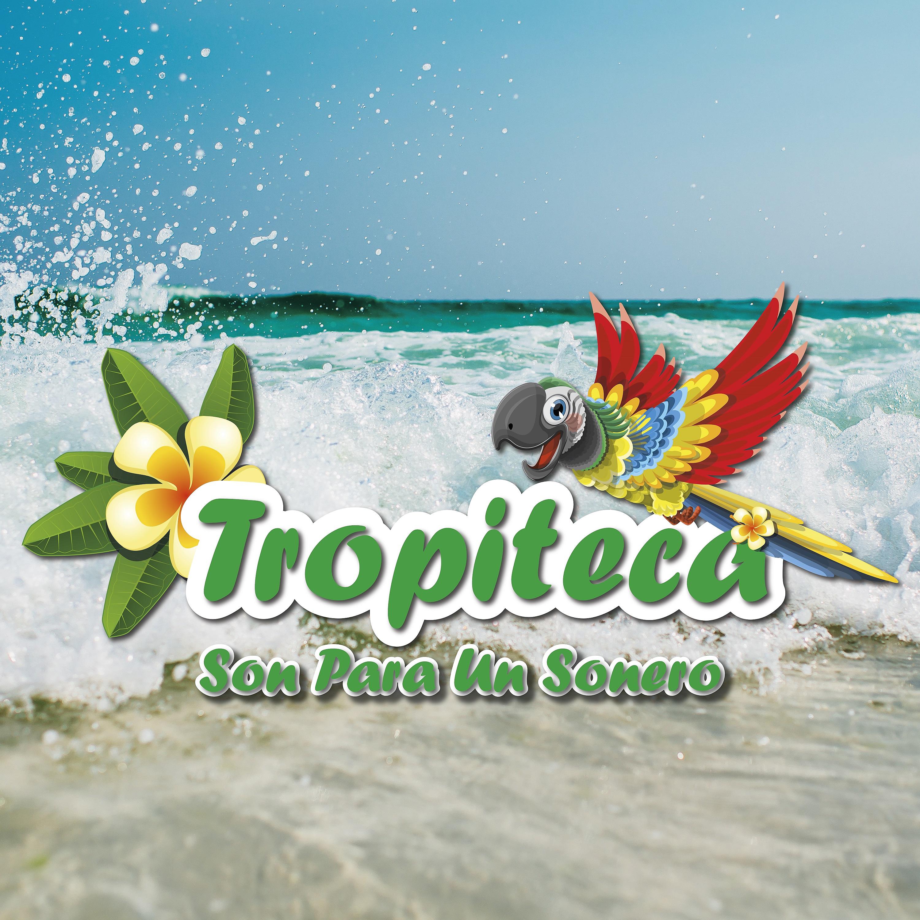 Постер альбома Tropiteca: Son para un Sonero