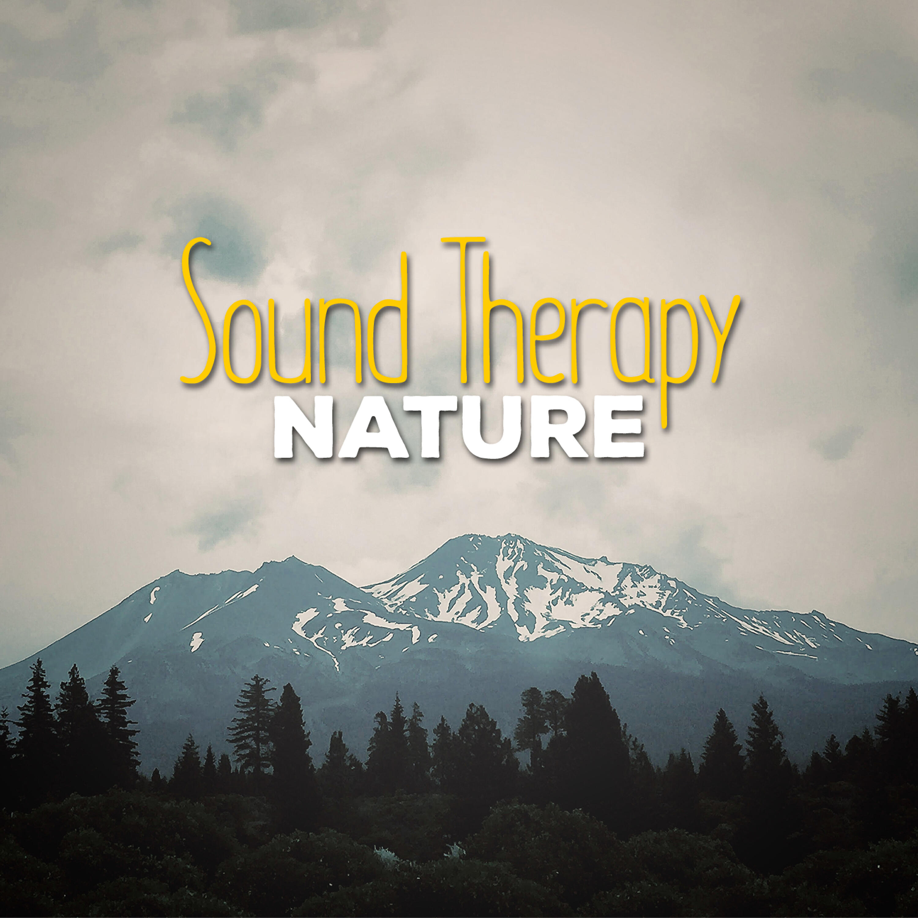 Nature Sounds Therapy - Life at the Waterside