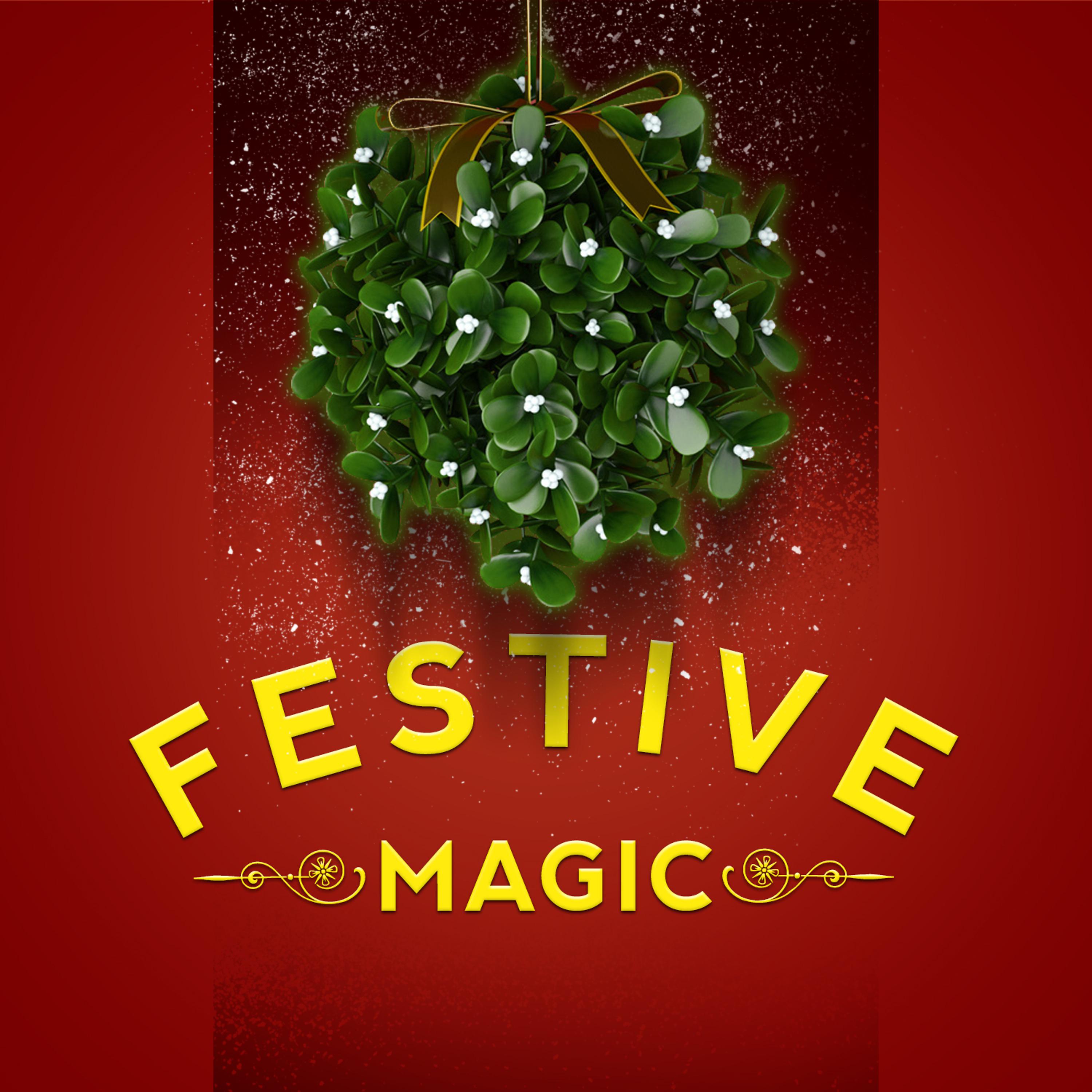 Постер альбома Festive Magic