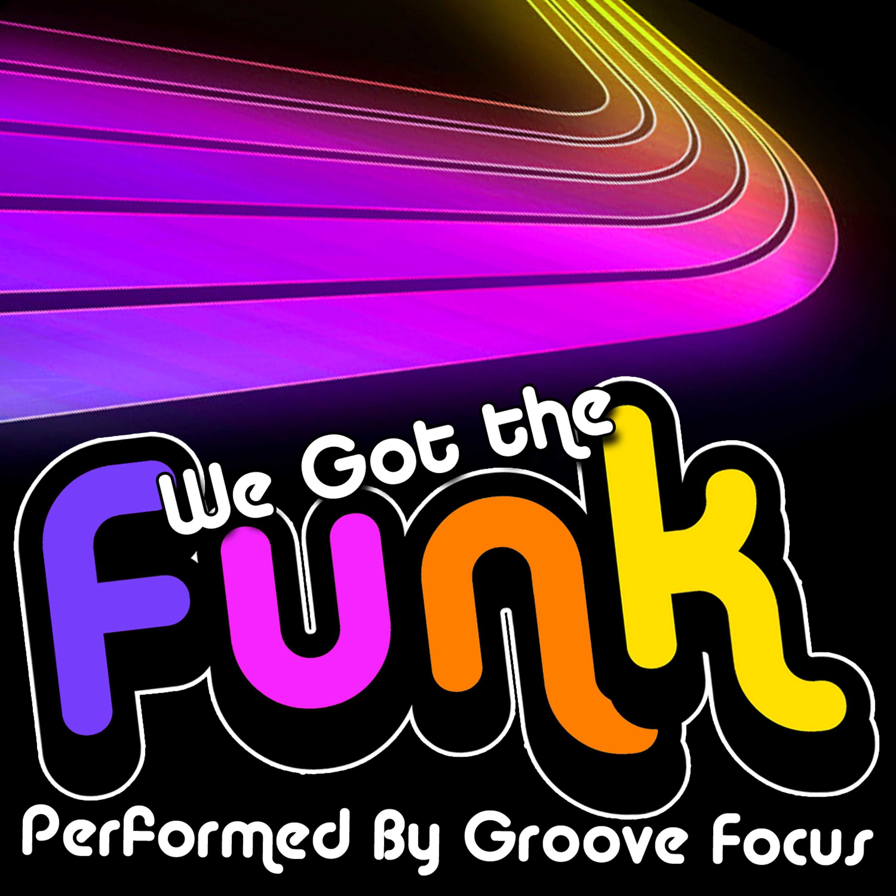 Постер альбома We Got the Funk