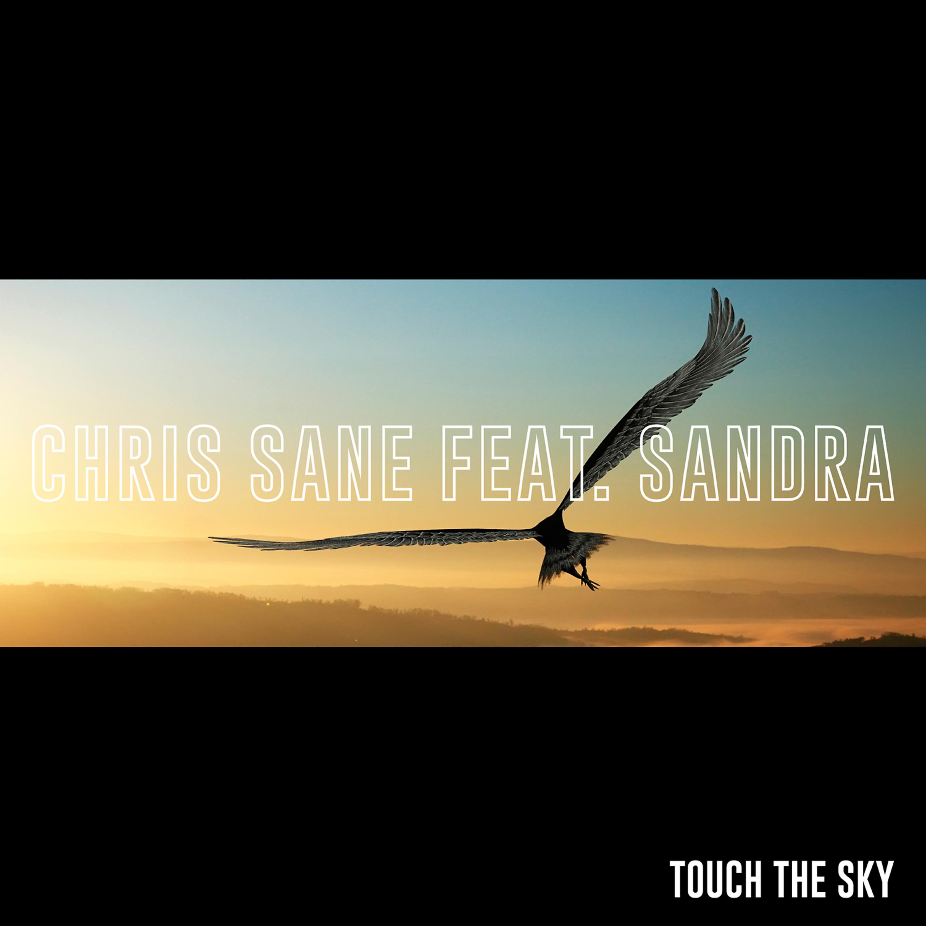 Постер альбома Touch the Sky (feat. Sandra)
