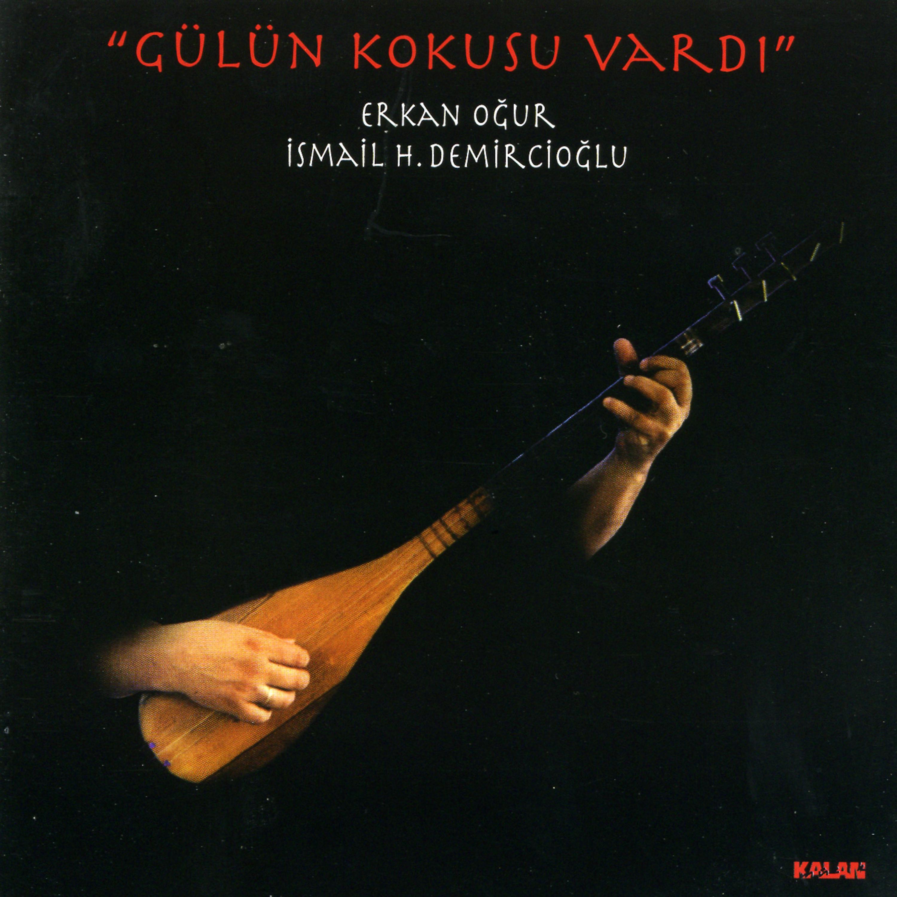 Постер альбома Gülün Kokusu Vardı