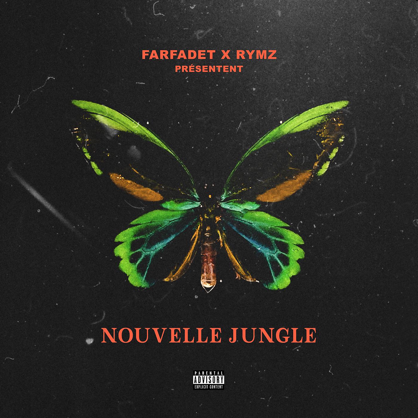 Постер альбома Nouvelle Jungle
