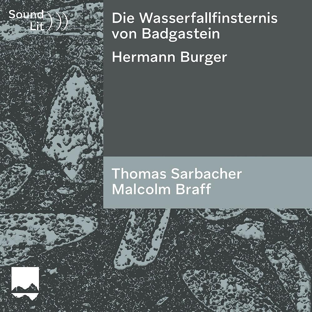 Постер альбома Die Wasserfallfinsternis von Badgastein (Sound)))Lit)