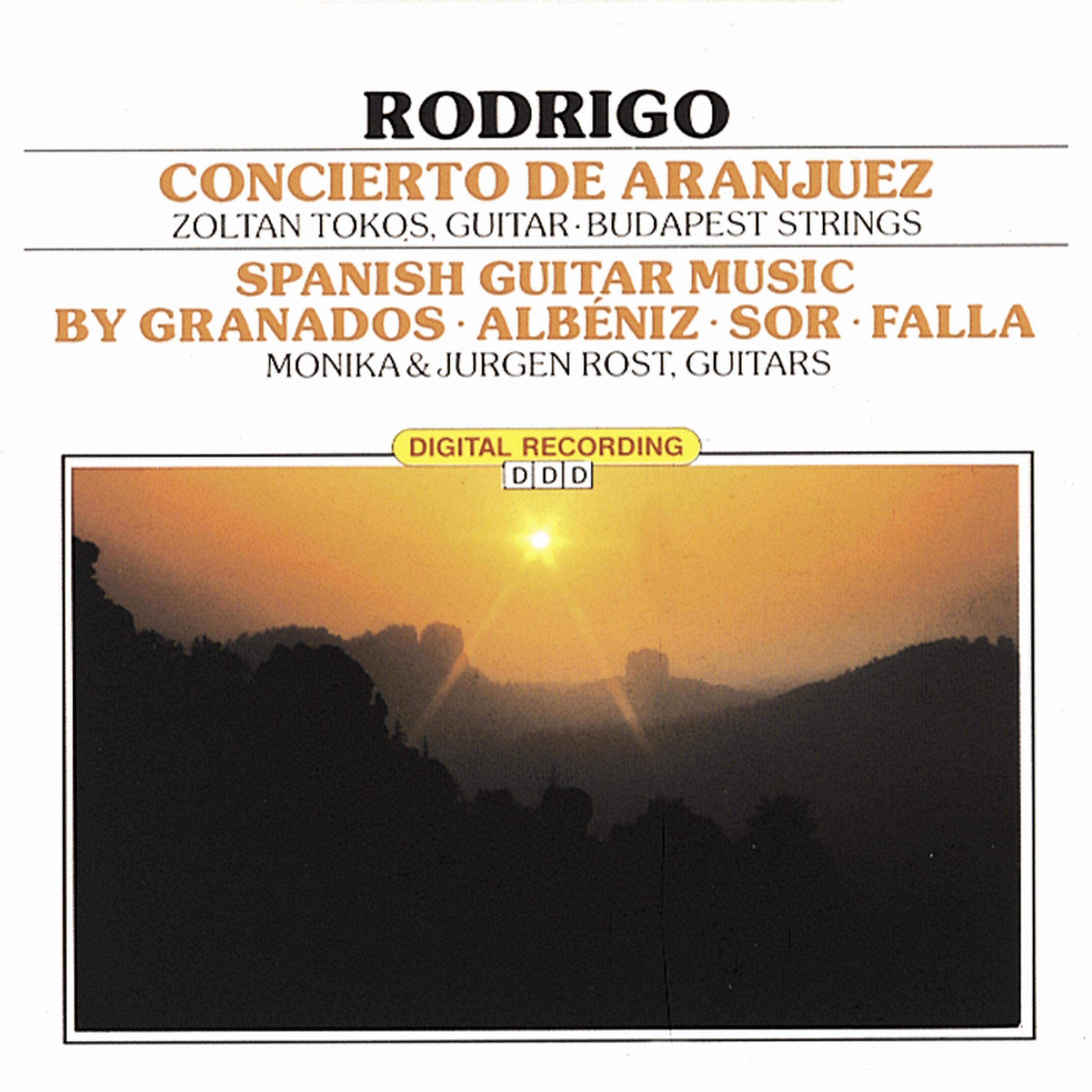 Постер альбома Rodrigo - Concerto De Aranjuez