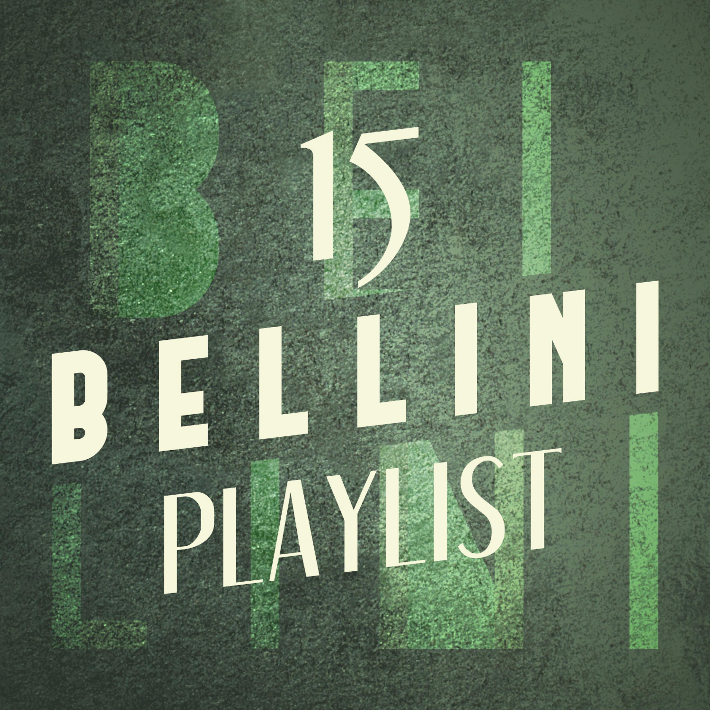 Постер альбома 15 Bellini Playlist