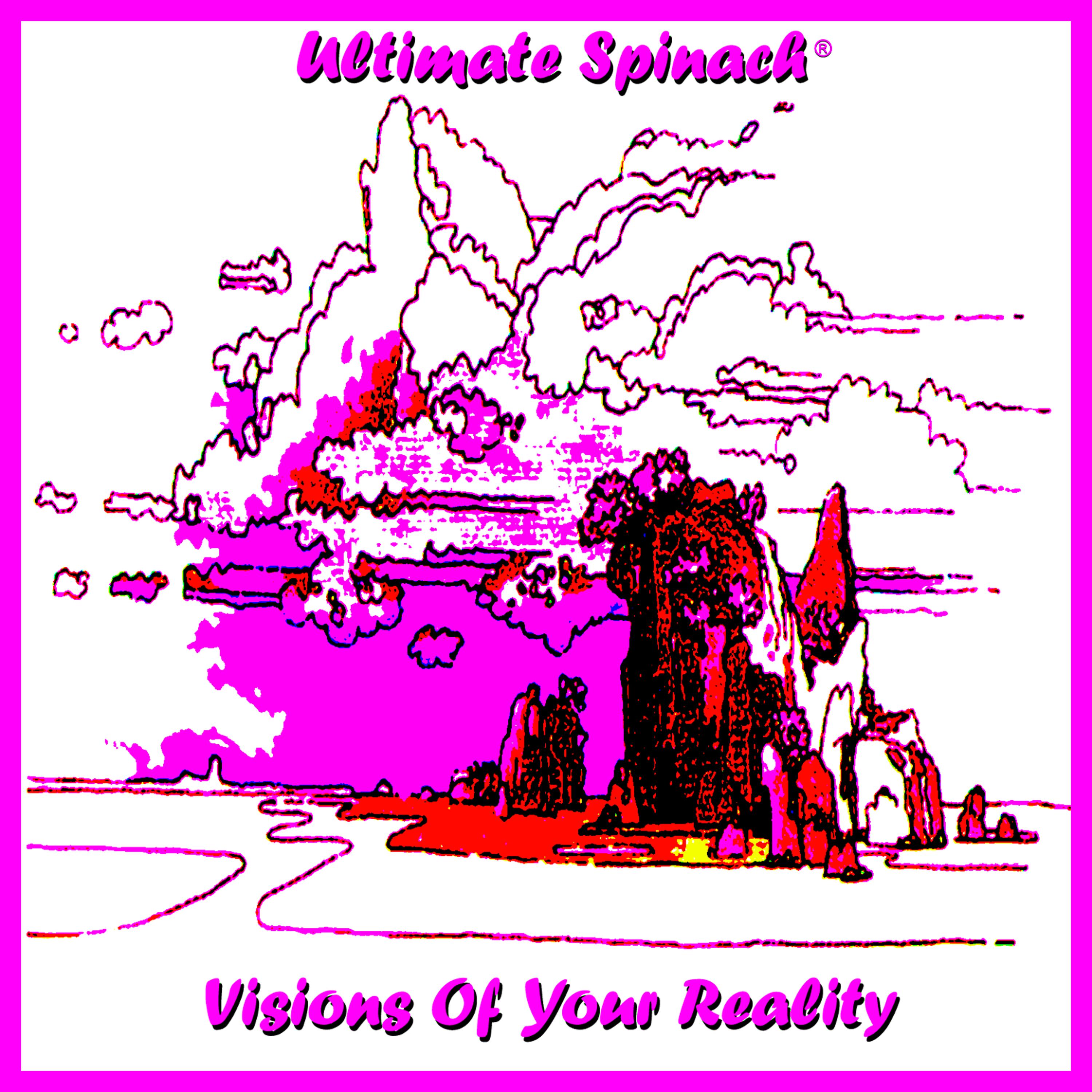 Постер альбома Visions of Your Reality