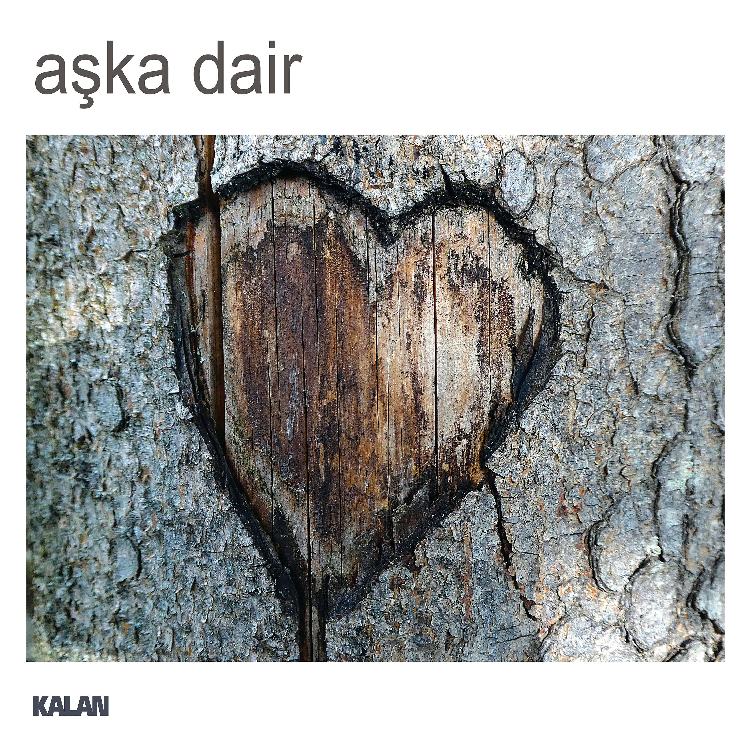 Marsis - Bahçada Yeşil Çınar