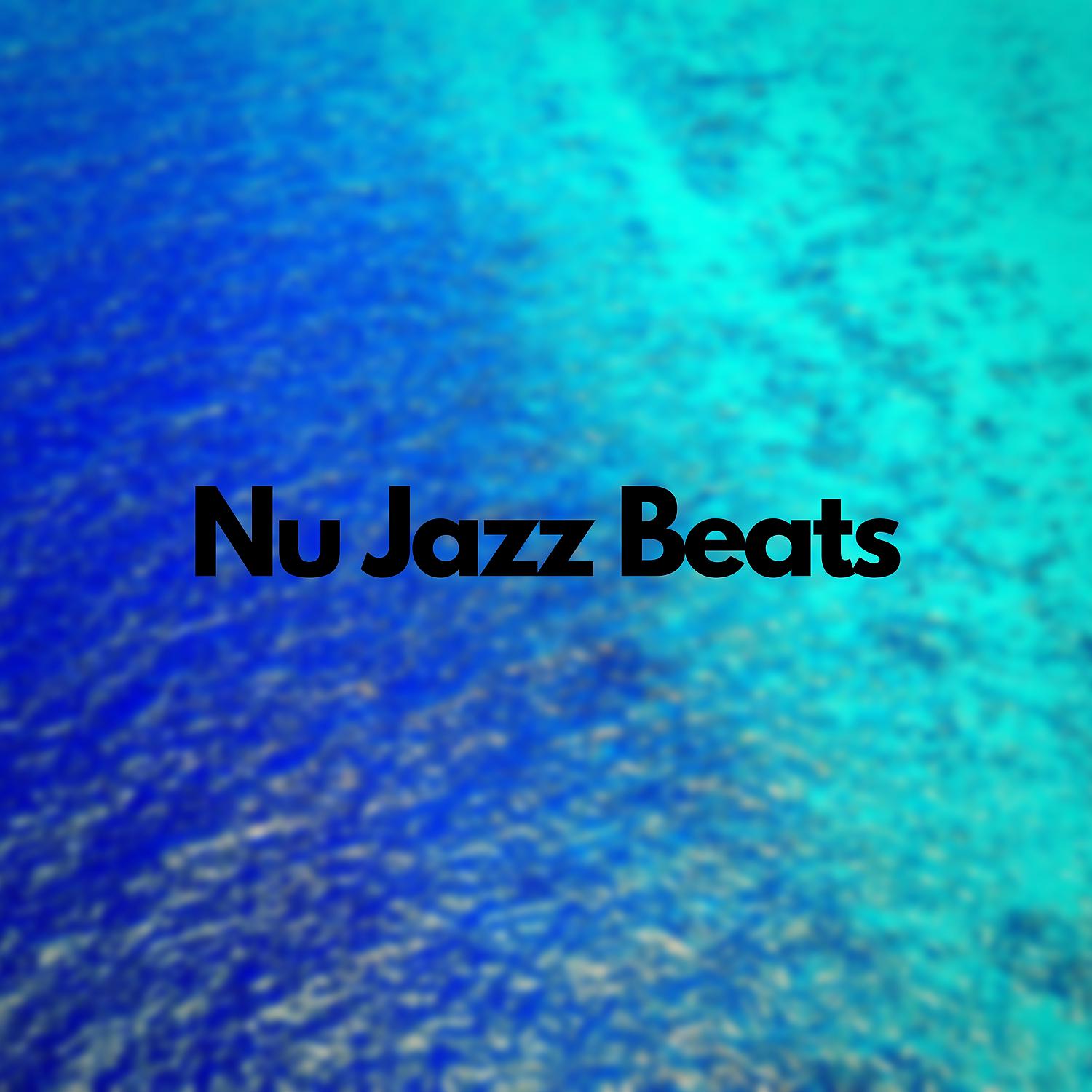 Постер альбома Nu Jazz Beats