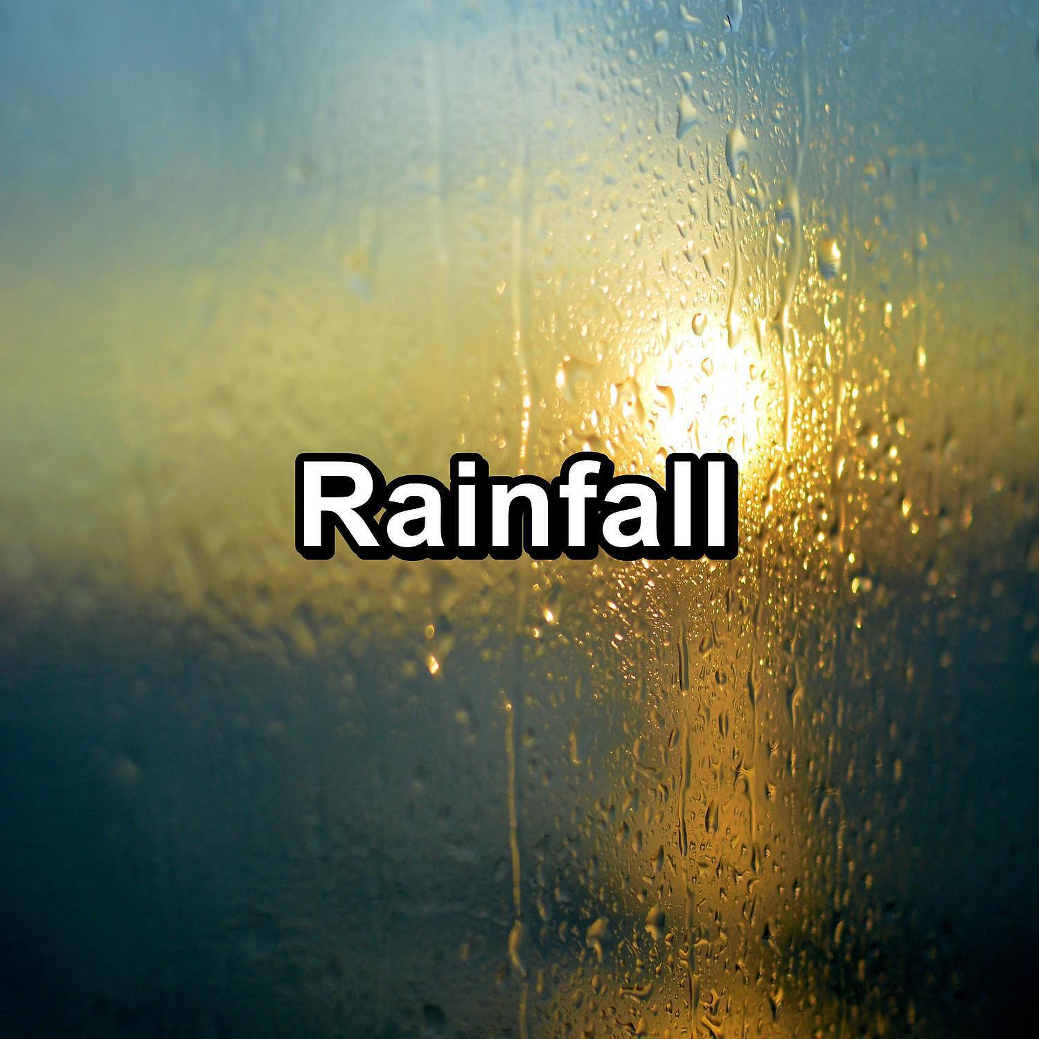 Natureï¿½s Music - Soft Rain for Brain Relaxation and Mindfulness Noise for Trouble Sleeping