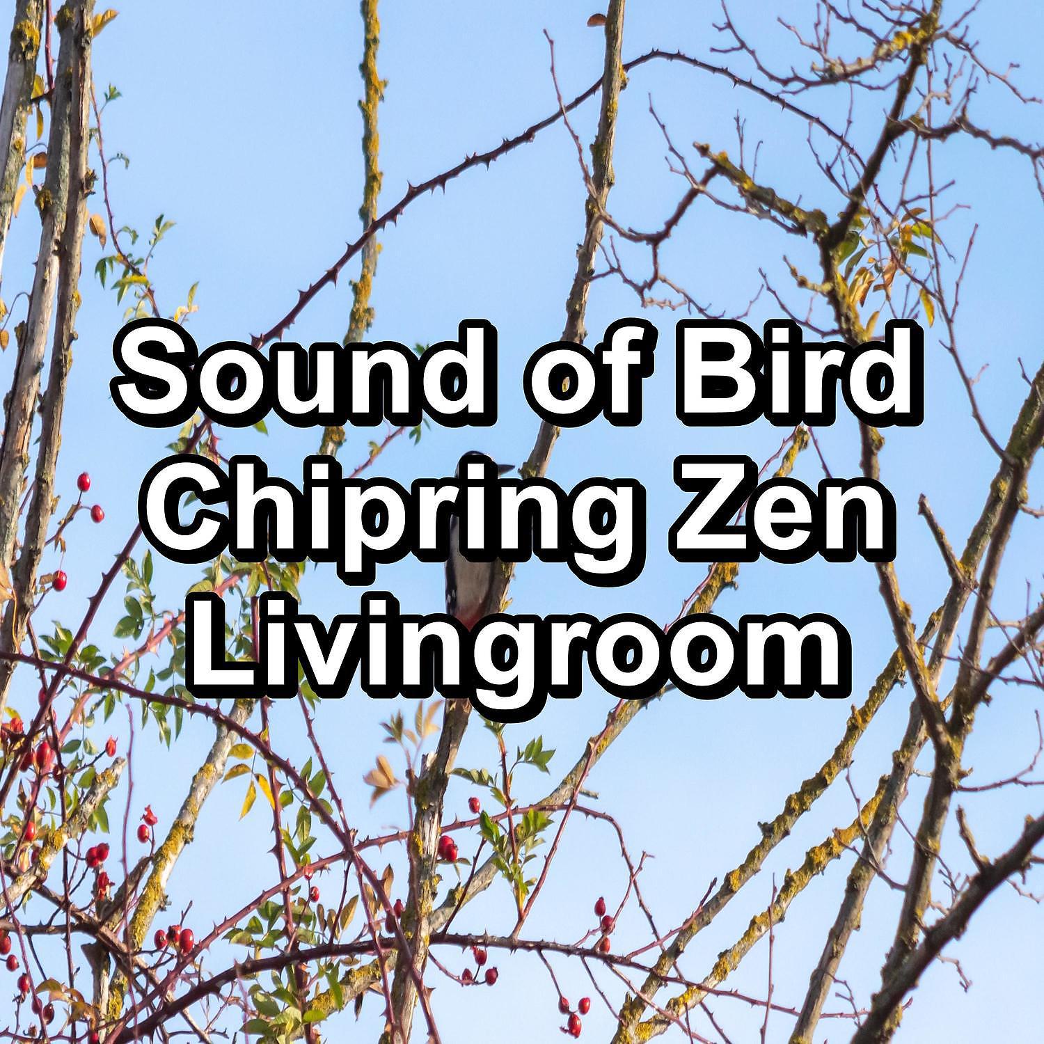 Постер альбома Sound of Bird Chipring Zen Livingroom