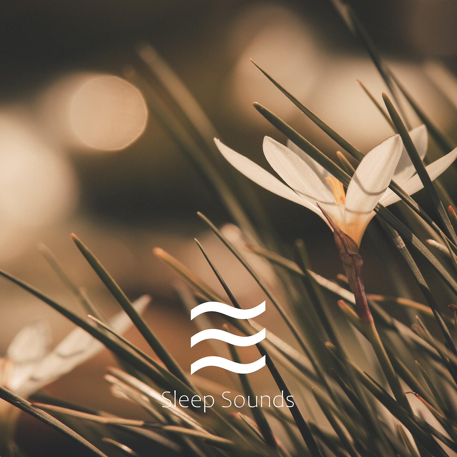 Hush Lullaby - Deep sleep brown noise lullaby