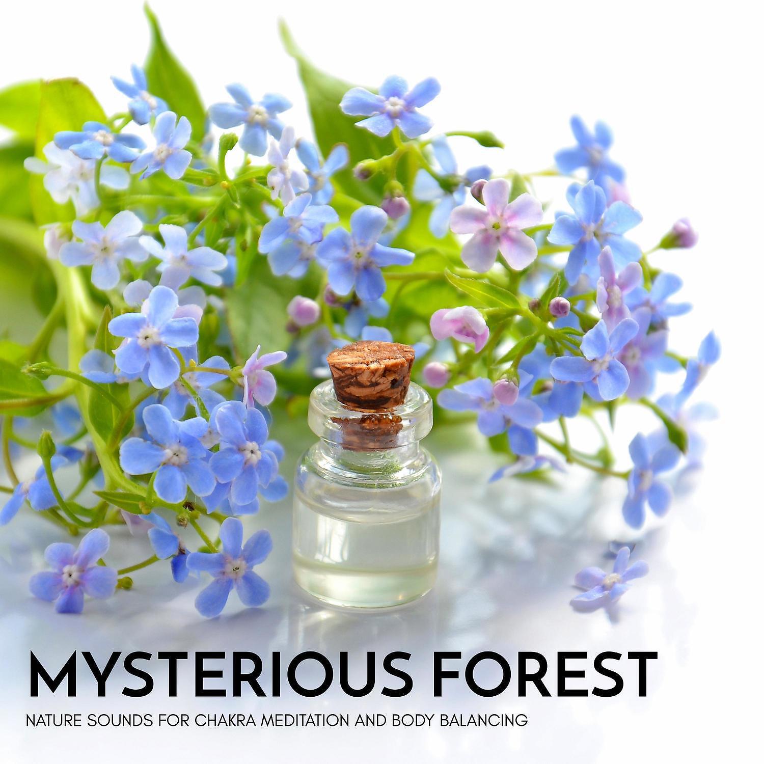 Serenity Calls - Healed in Nature's Lap