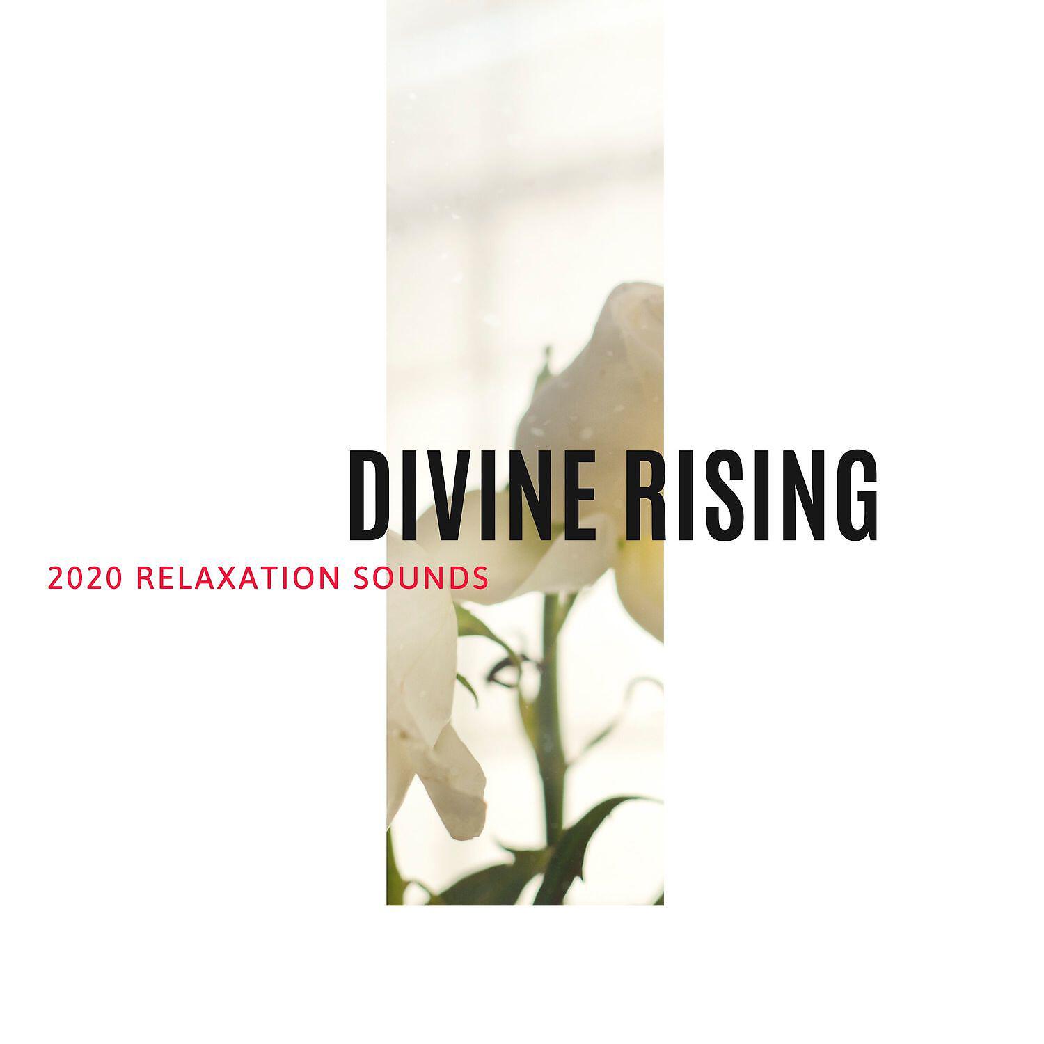 Spa Music Relaxation - Peace from Dribbling Life