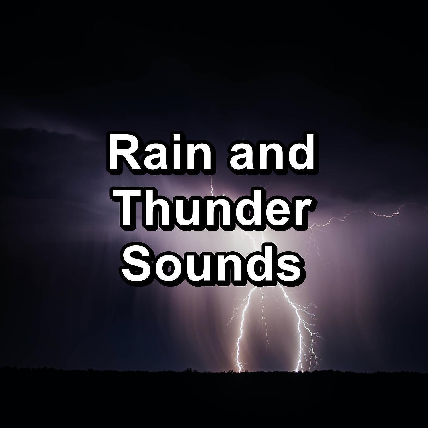 Baby Sleep - Forest Rain in the Rainy Forest To Repeat for 24 Hours