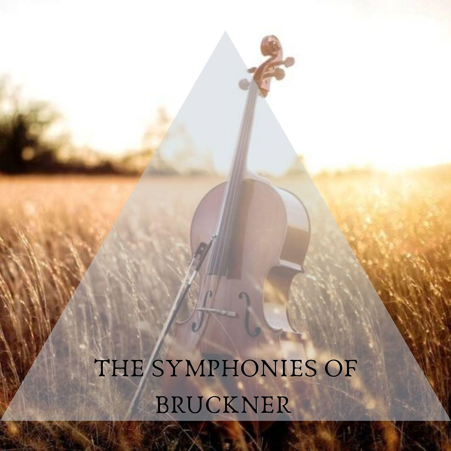 Постер альбома The symphonies of Bruckner