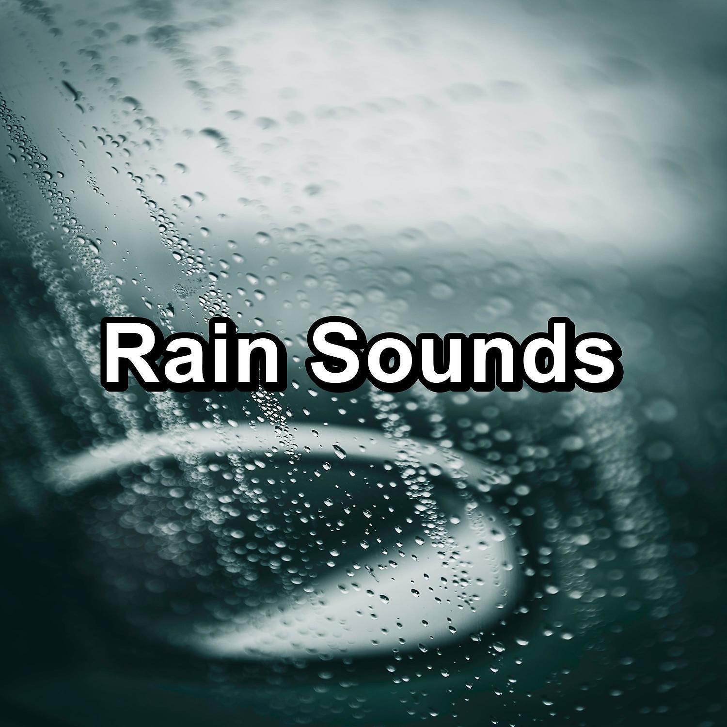 Deep Sleep Meditation - Moderate Rain with Thunder and White Noise To Loop for 10 Hours