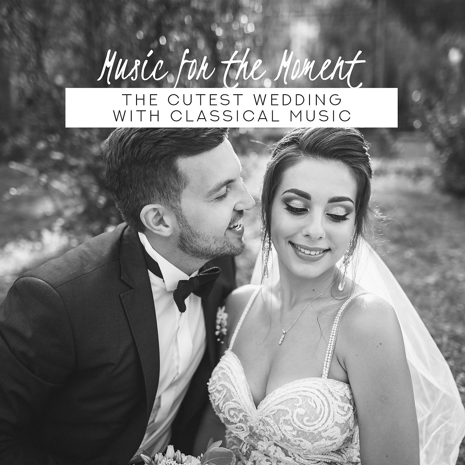 Постер альбома Music for the Moment: The Cutest Wedding with Classical Music